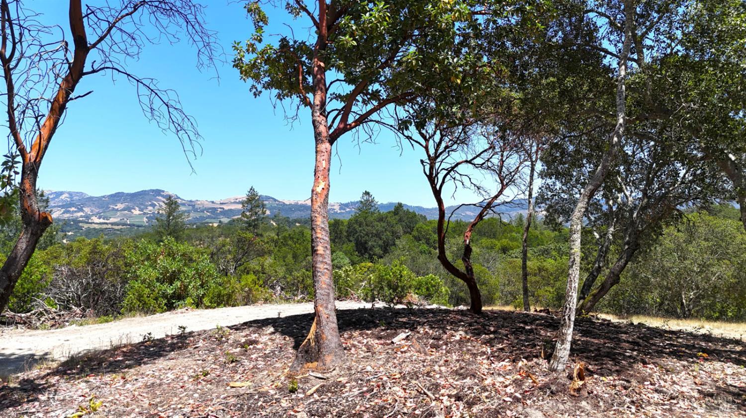 Detail Gallery Image 6 of 26 For 6555 Enterprise Rd, Glen Ellen,  CA 95442 - – Beds | – Baths