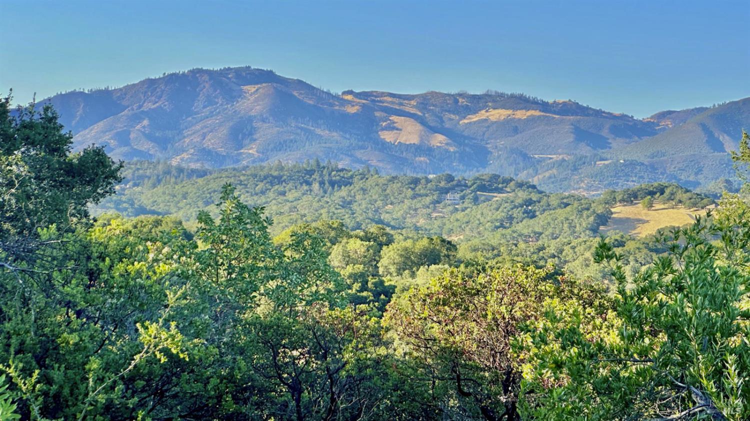 Detail Gallery Image 9 of 26 For 6555 Enterprise Rd, Glen Ellen,  CA 95442 - – Beds | – Baths