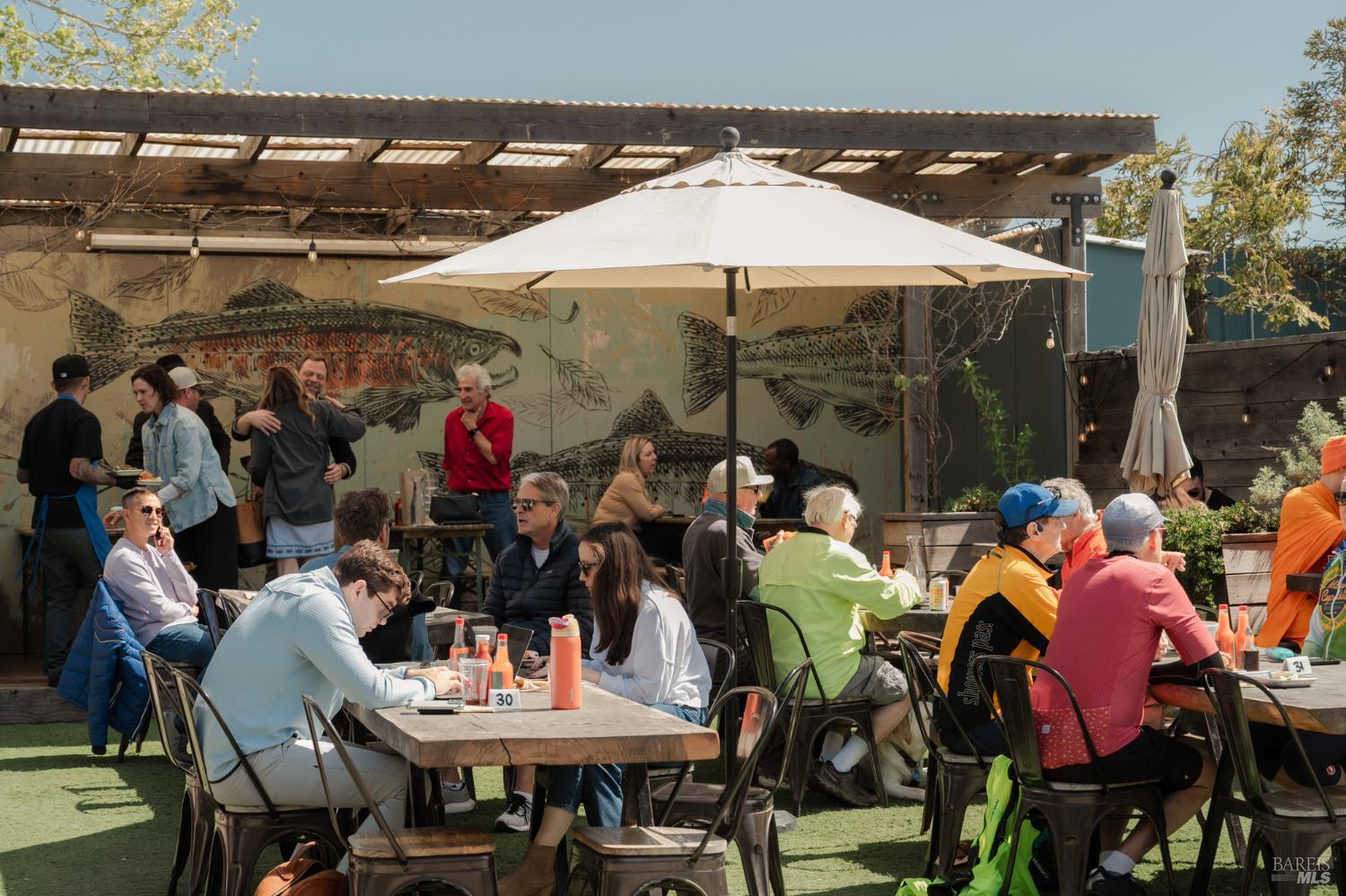 Detail Gallery Image 59 of 68 For 529 Alta Way, Mill Valley,  CA 94941 - 4 Beds | 2/1 Baths