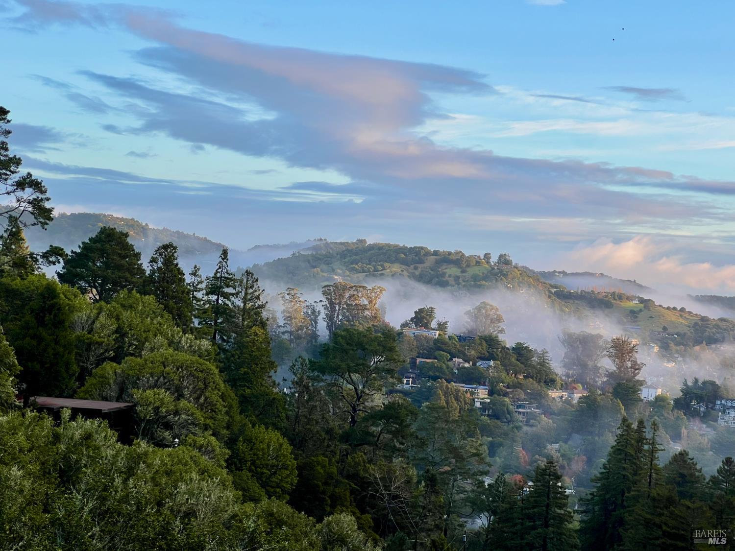 Detail Gallery Image 35 of 41 For 70 Madrone Park Cir, Mill Valley,  CA 94941 - 4 Beds | 2/1 Baths