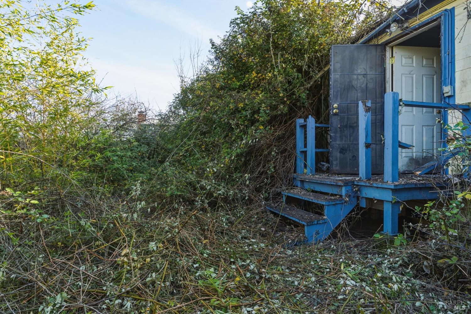 Detail Gallery Image 17 of 19 For 921 Jones St, Berkeley,  CA 94710 - 2 Beds | 1 Baths