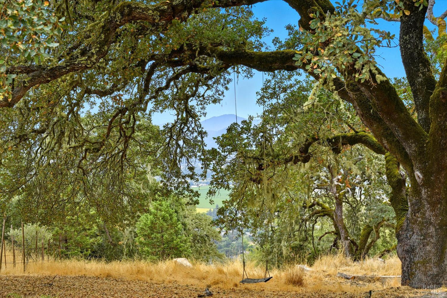 Detail Gallery Image 58 of 64 For 31000 Pine Mountain Rd, Cloverdale,  CA 95425 - 3 Beds | 3 Baths