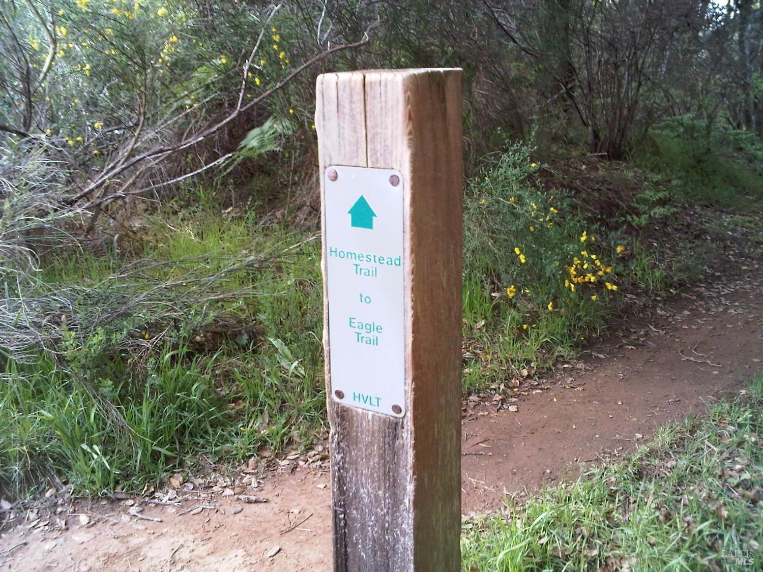 Detail Gallery Image 45 of 46 For 316 Rydal Ave, Mill Valley,  CA 94941 - 4 Beds | 3 Baths