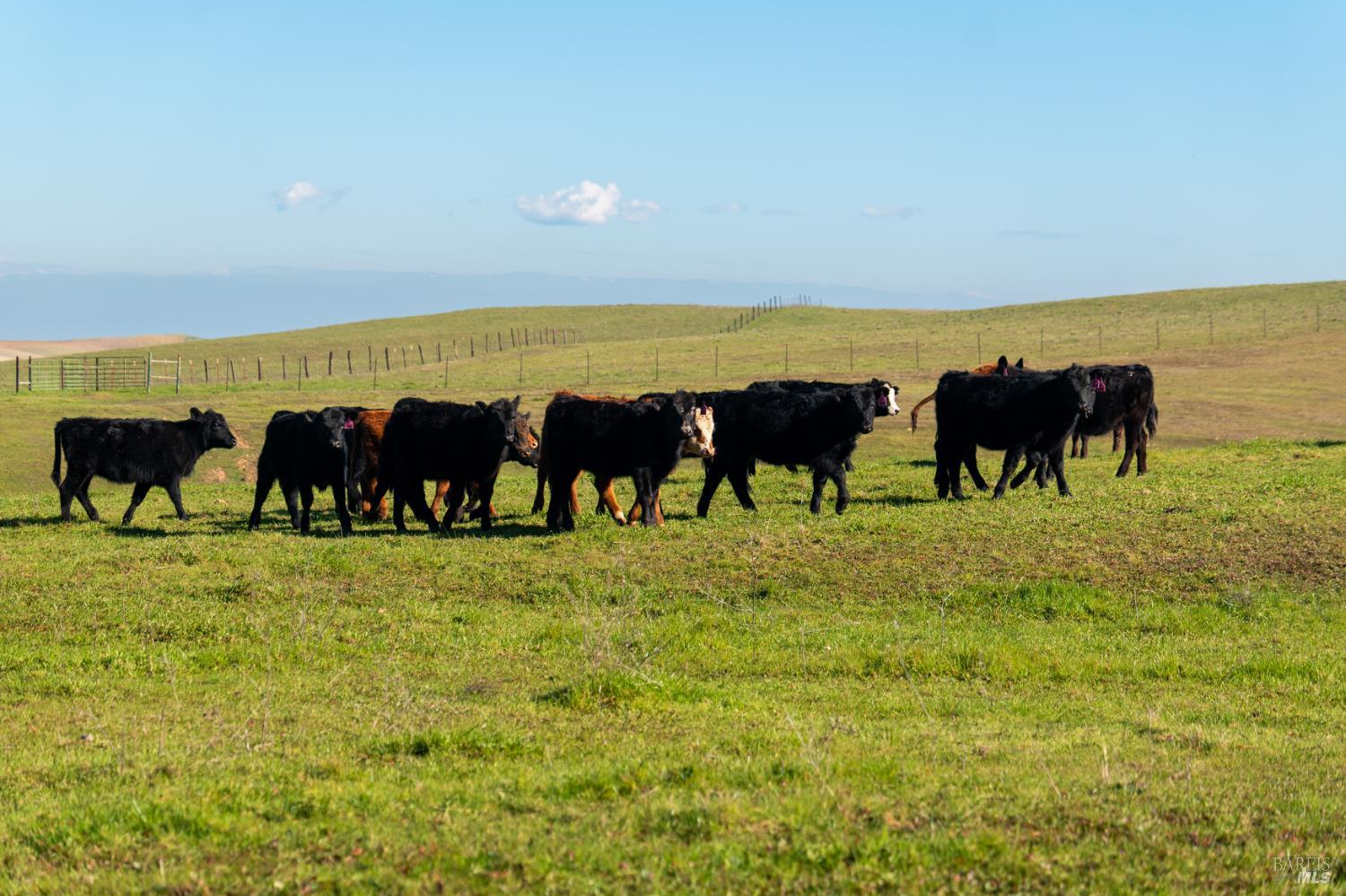 Detail Gallery Image 3 of 37 For 17775 Long Hollow Rd, Corning,  CA 96021 - 2 Beds | 2 Baths