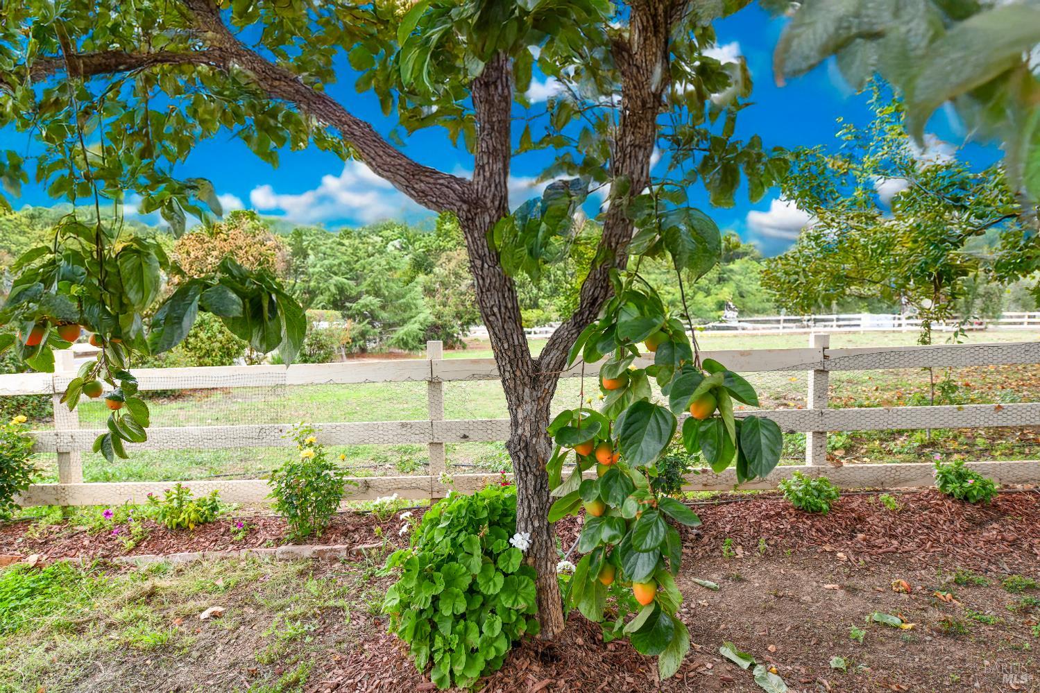 Detail Gallery Image 54 of 56 For 2060 Hagen Rd, Napa,  CA 94558 - 3 Beds | 2 Baths