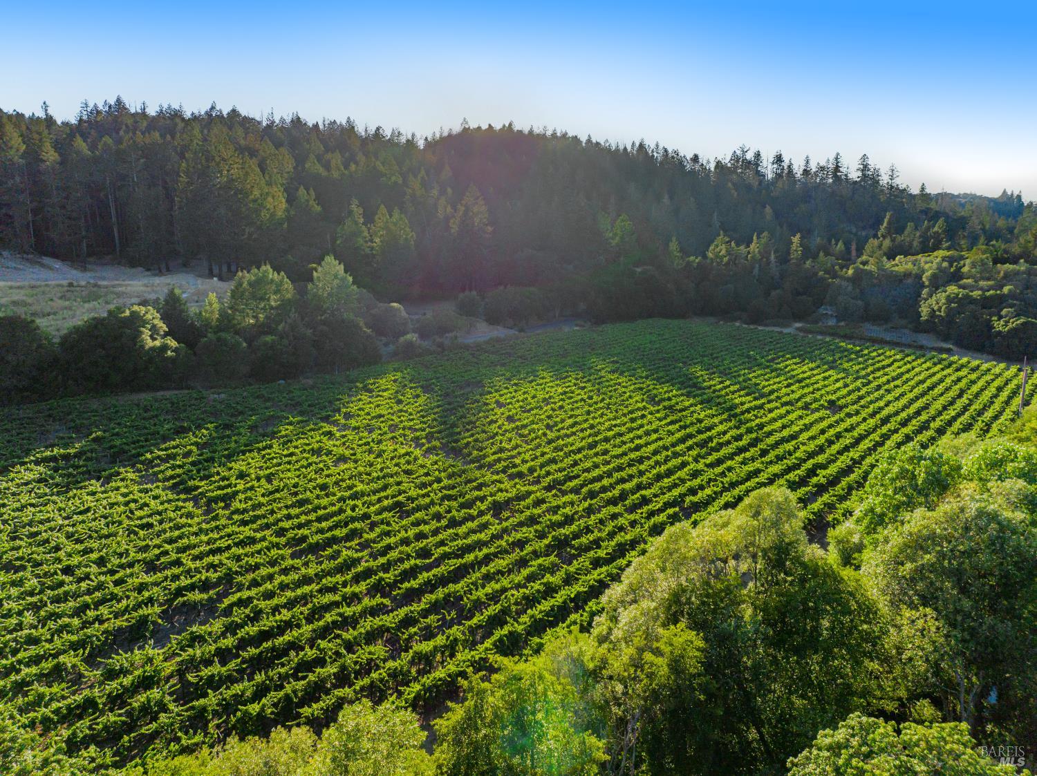Detail Gallery Image 74 of 78 For 8320 Franz Valley Rd, Calistoga,  CA 94515 - 8 Beds | 8/2 Baths