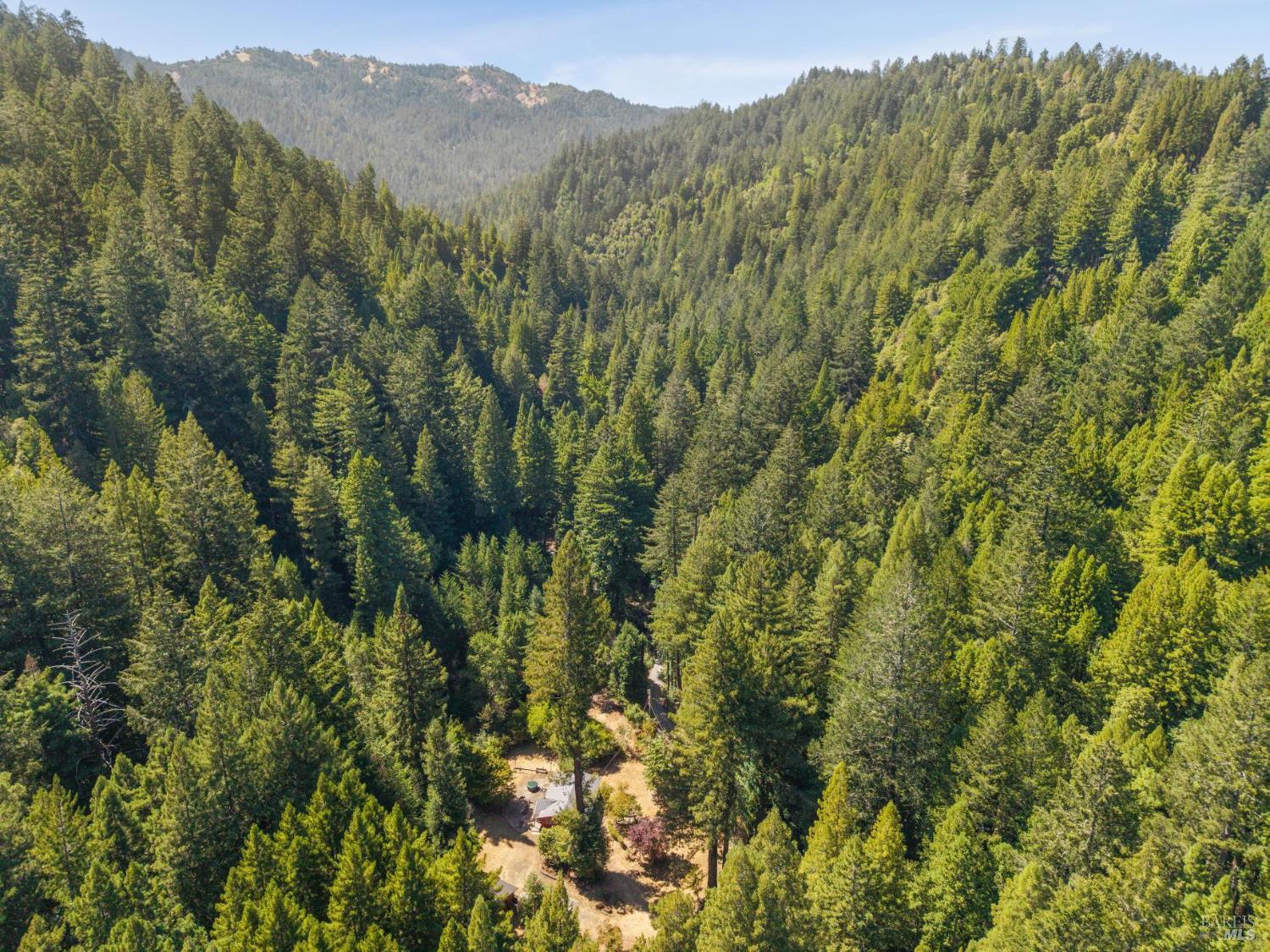 Detail Gallery Image 16 of 59 For 11 Kidd Creek Rd, Cazadero,  CA 95421 - 1 Beds | 1 Baths