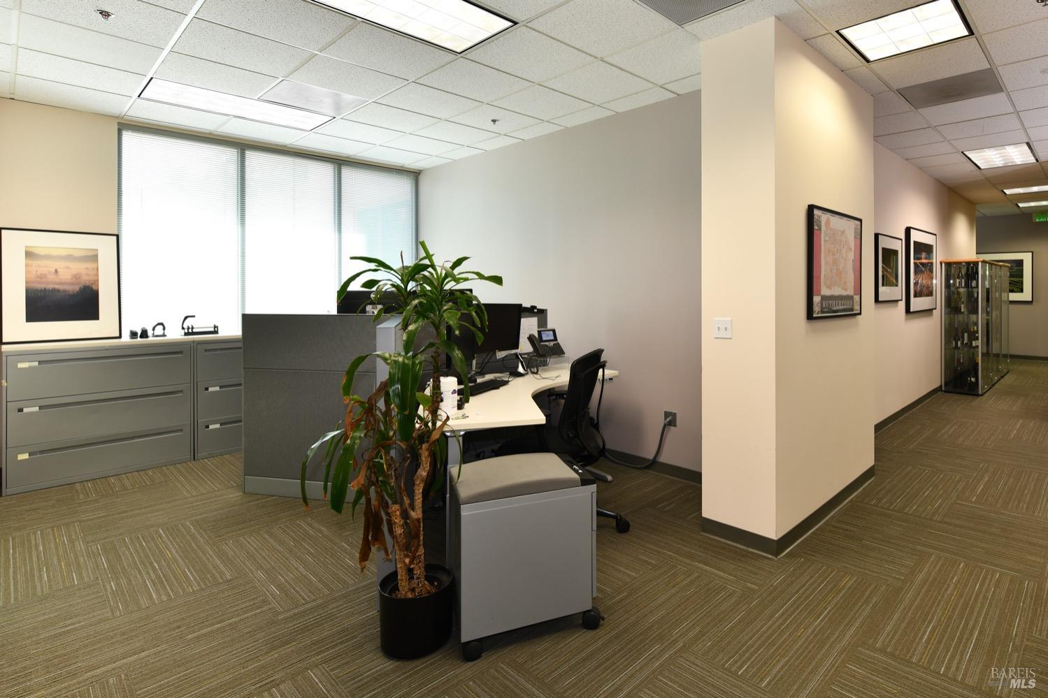 Detail Gallery Image 26 of 38 For 899 Adams St, Saint Helena,  CA 94574 - – Beds | – Baths