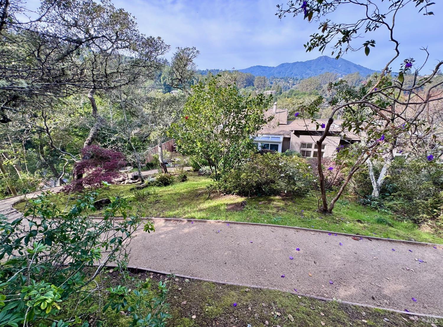 Detail Gallery Image 42 of 46 For 316 Rydal Ave, Mill Valley,  CA 94941 - 4 Beds | 3 Baths