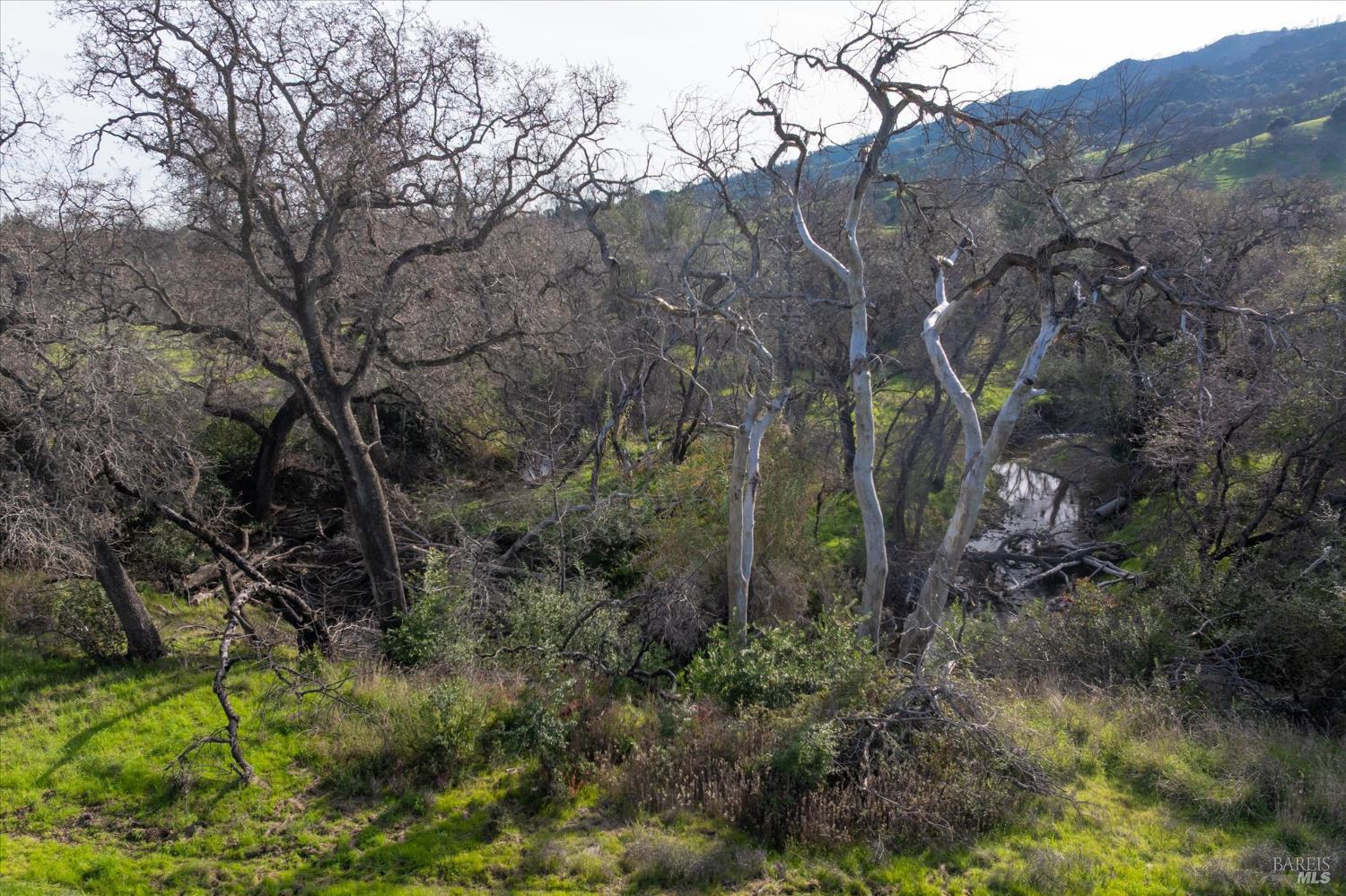 Detail Gallery Image 19 of 24 For 7215 Pleasants Valley Rd, Vacaville,  CA 95688 - – Beds | – Baths