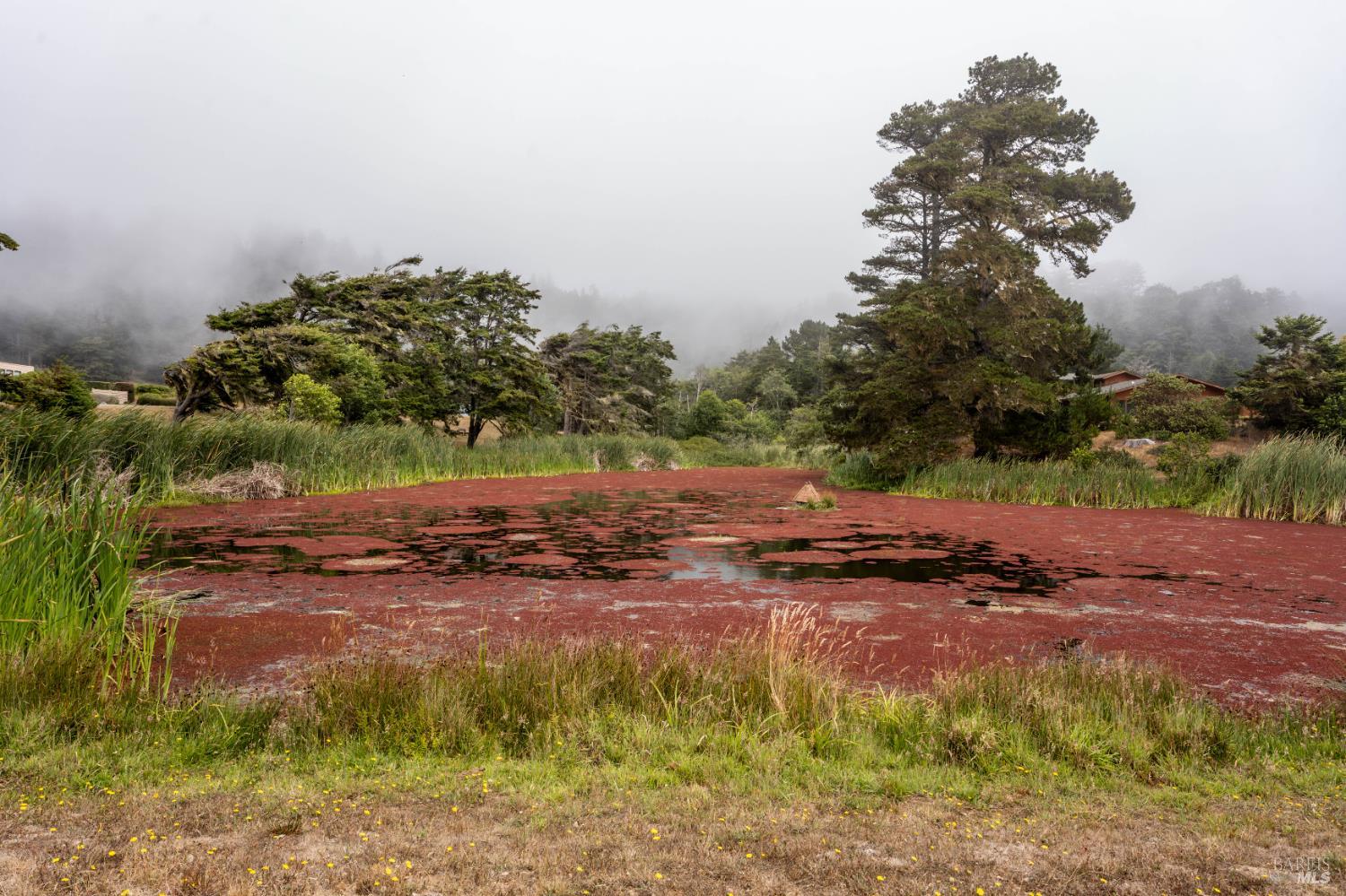 Detail Gallery Image 27 of 28 For 15741 Forest View Rd, Manchester,  CA 95459 - 3 Beds | 2 Baths