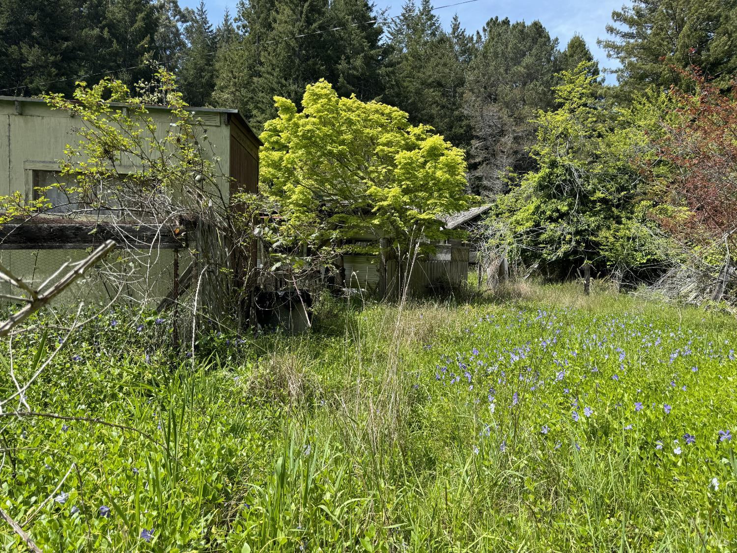 Detail Gallery Image 2 of 12 For 23501 Branscomb Rd, Westport,  CA 95488 - – Beds | – Baths