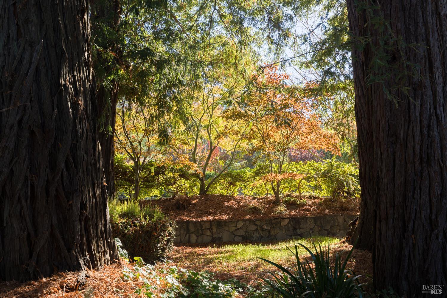 Detail Gallery Image 35 of 43 For 178 Palm Ave, San Rafael,  CA 94901 - 5 Beds | 3/2 Baths