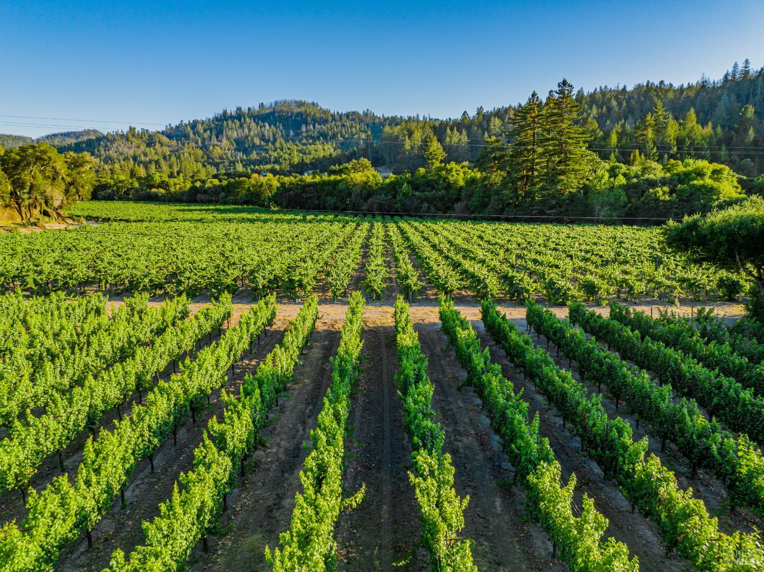 Detail Gallery Image 65 of 78 For 8320 Franz Valley Rd, Calistoga,  CA 94515 - 8 Beds | 8/2 Baths