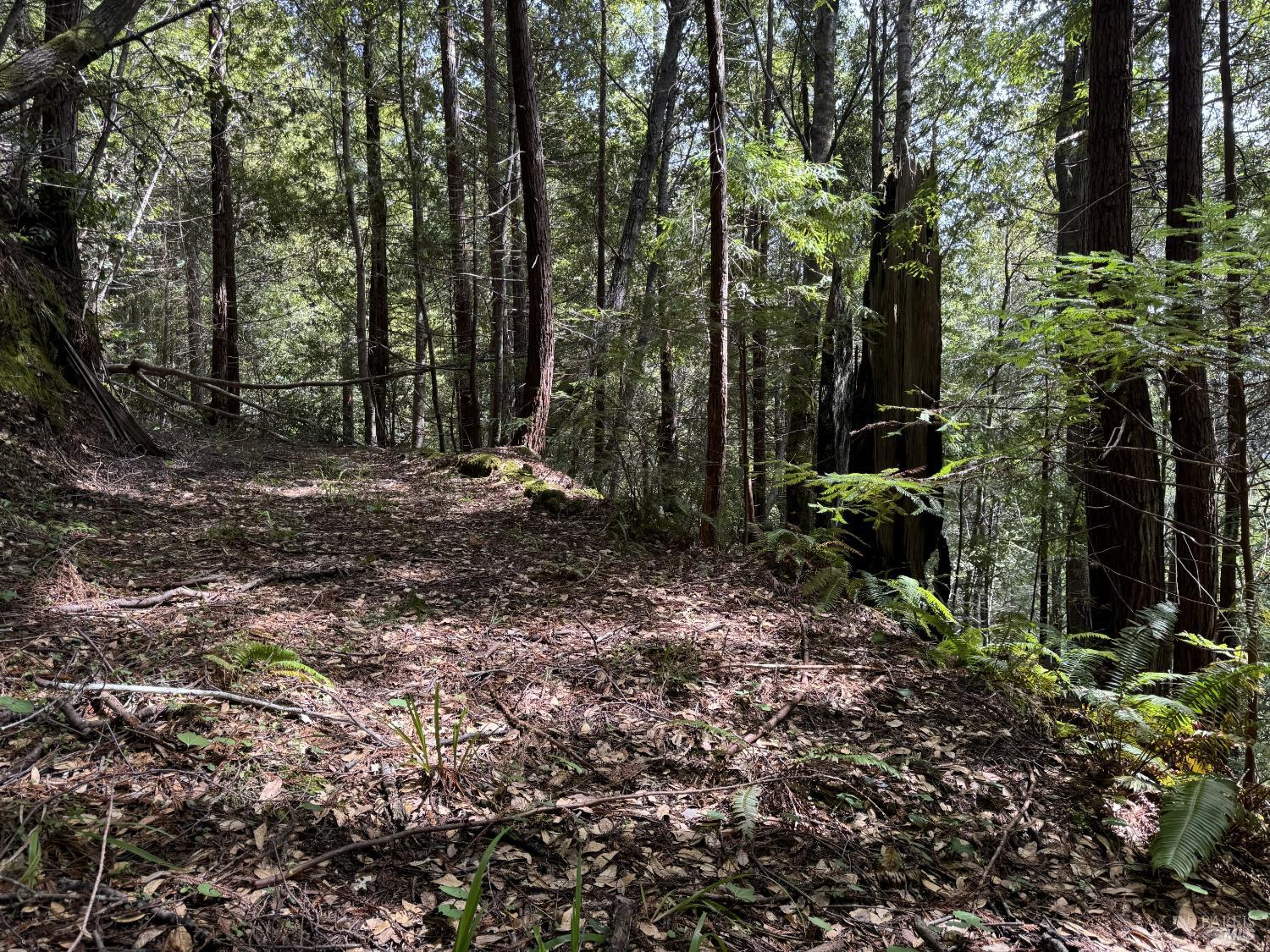 Detail Gallery Image 9 of 12 For 23501 Branscomb Rd, Westport,  CA 95488 - – Beds | – Baths