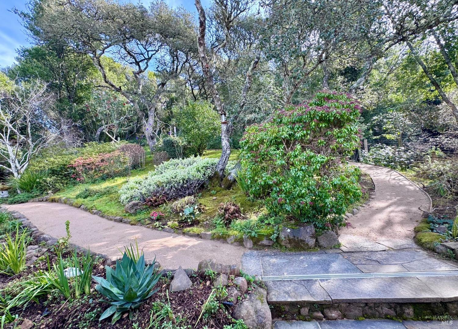 Detail Gallery Image 37 of 46 For 316 Rydal Ave, Mill Valley,  CA 94941 - 4 Beds | 3 Baths