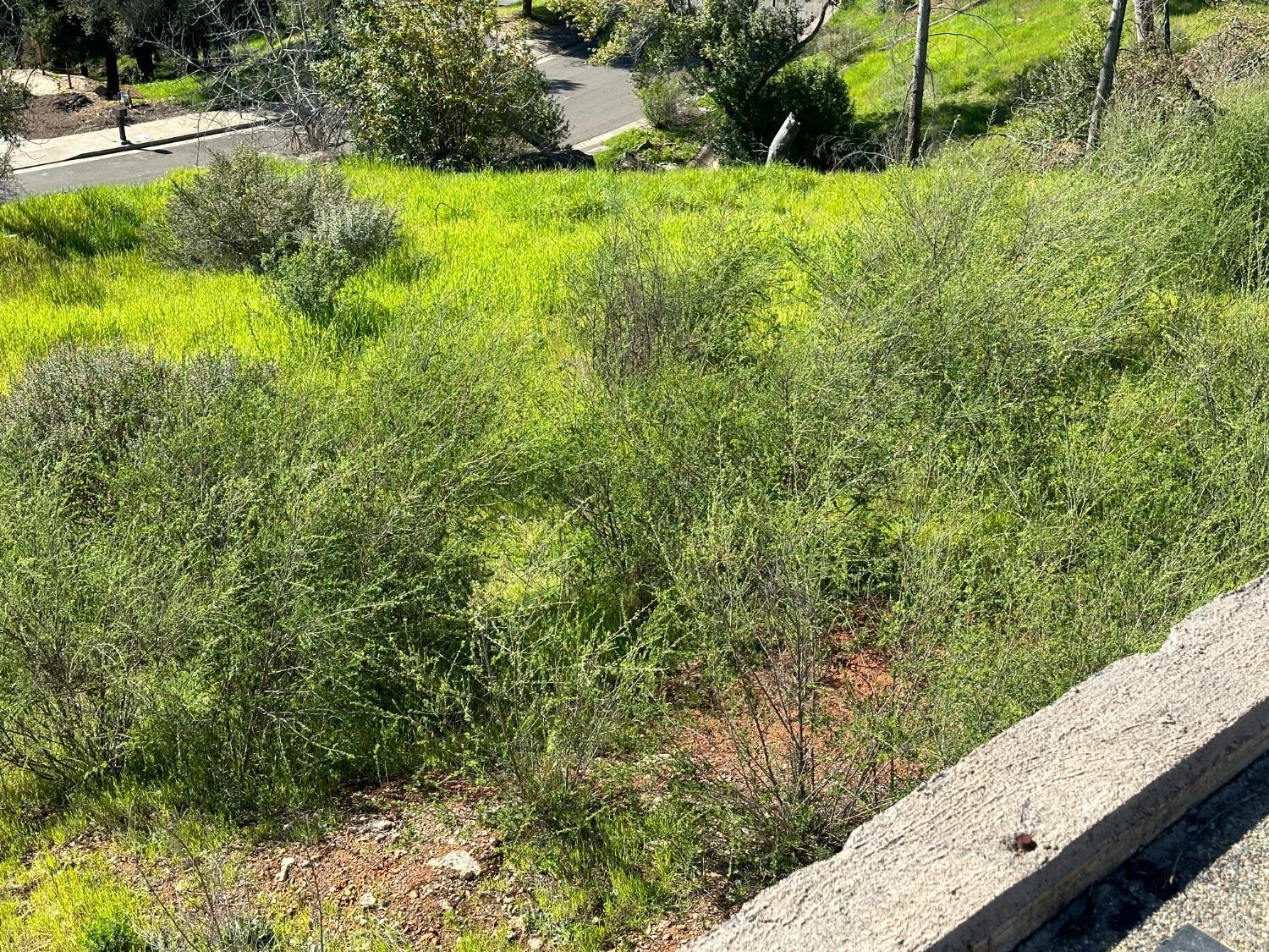 Detail Gallery Image 4 of 10 For 3603 Orbetello Ct, Santa Rosa,  CA 95404 - – Beds | – Baths