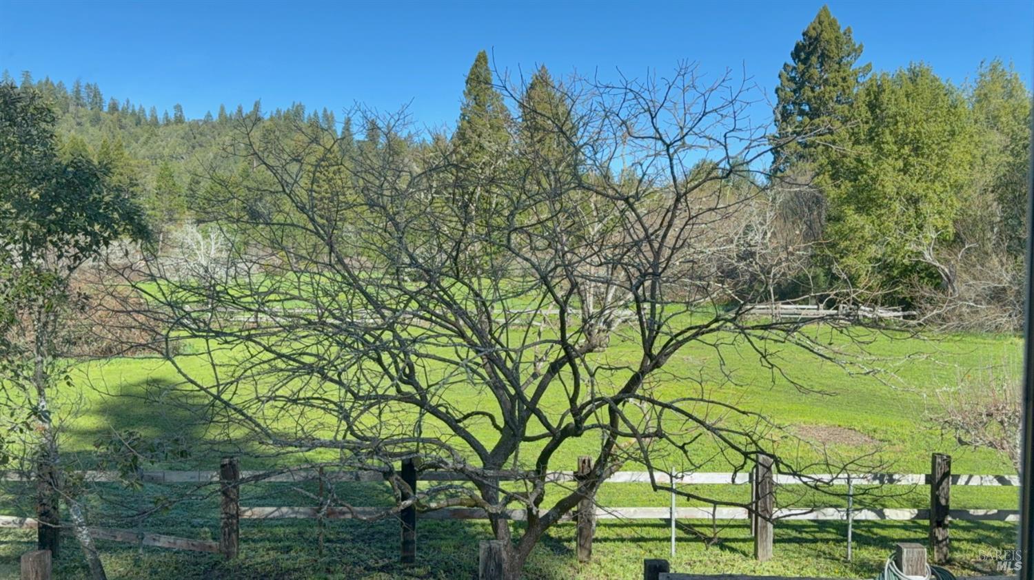 Detail Gallery Image 33 of 49 For 16160 Laughlin Rd, Guerneville,  CA 95446 - 3 Beds | 2 Baths