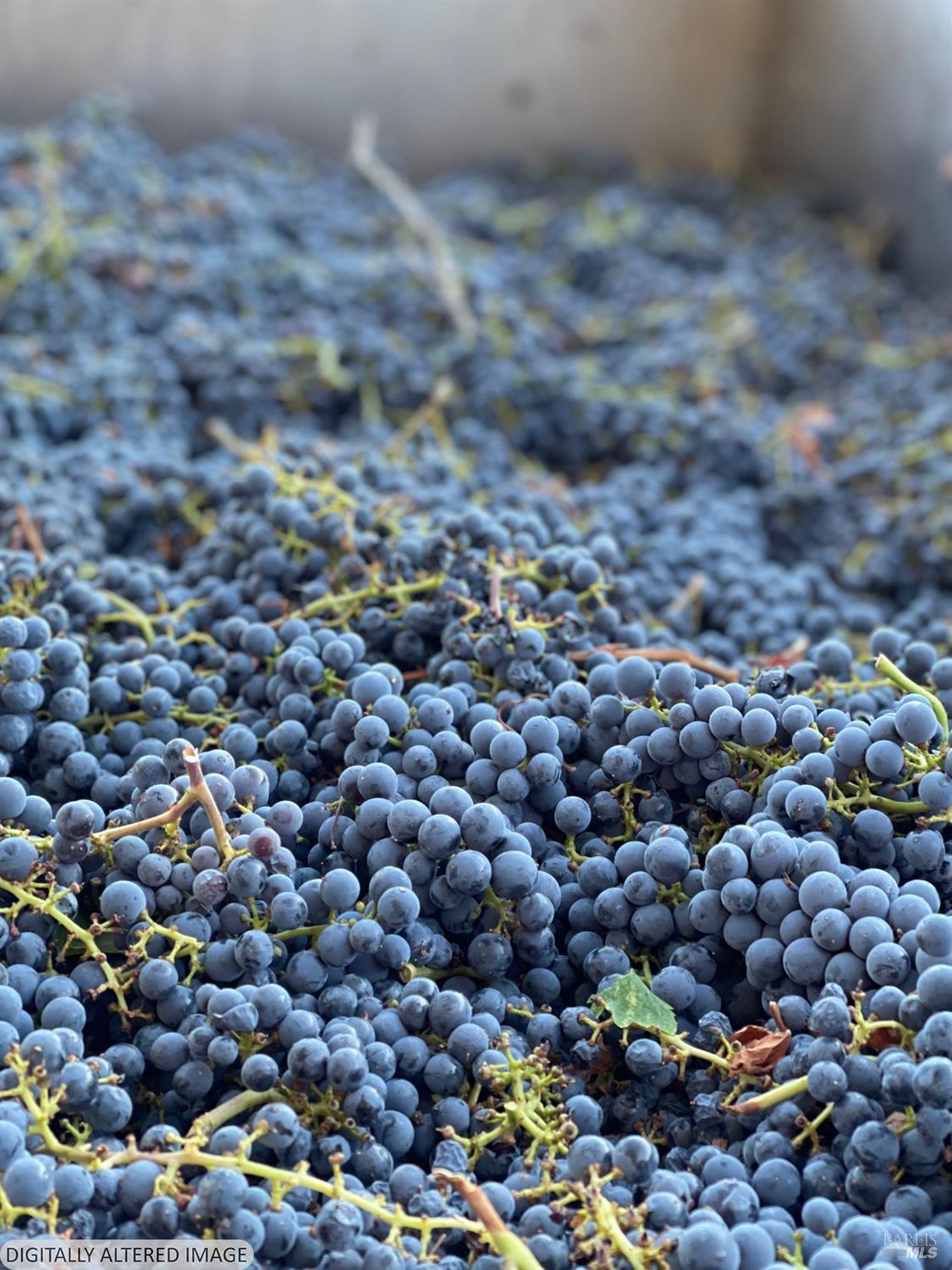 Detail Gallery Image 57 of 78 For 8320 Franz Valley Rd, Calistoga,  CA 94515 - 8 Beds | 8/2 Baths