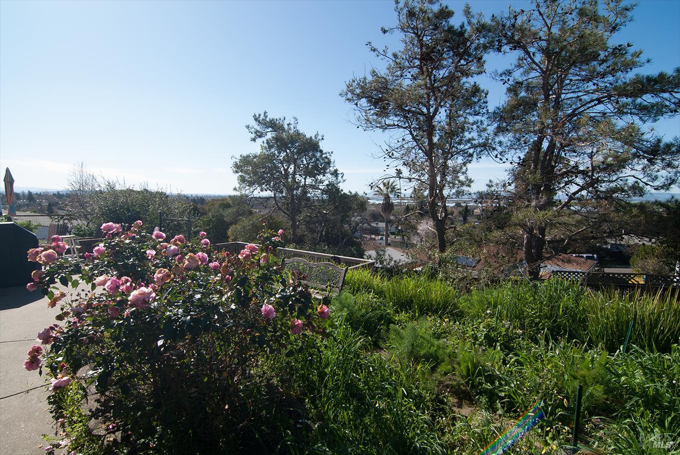 Detail Gallery Image 5 of 14 For 1009 Donaldson Way, American Canyon,  CA 94503 - 3 Beds | 2 Baths