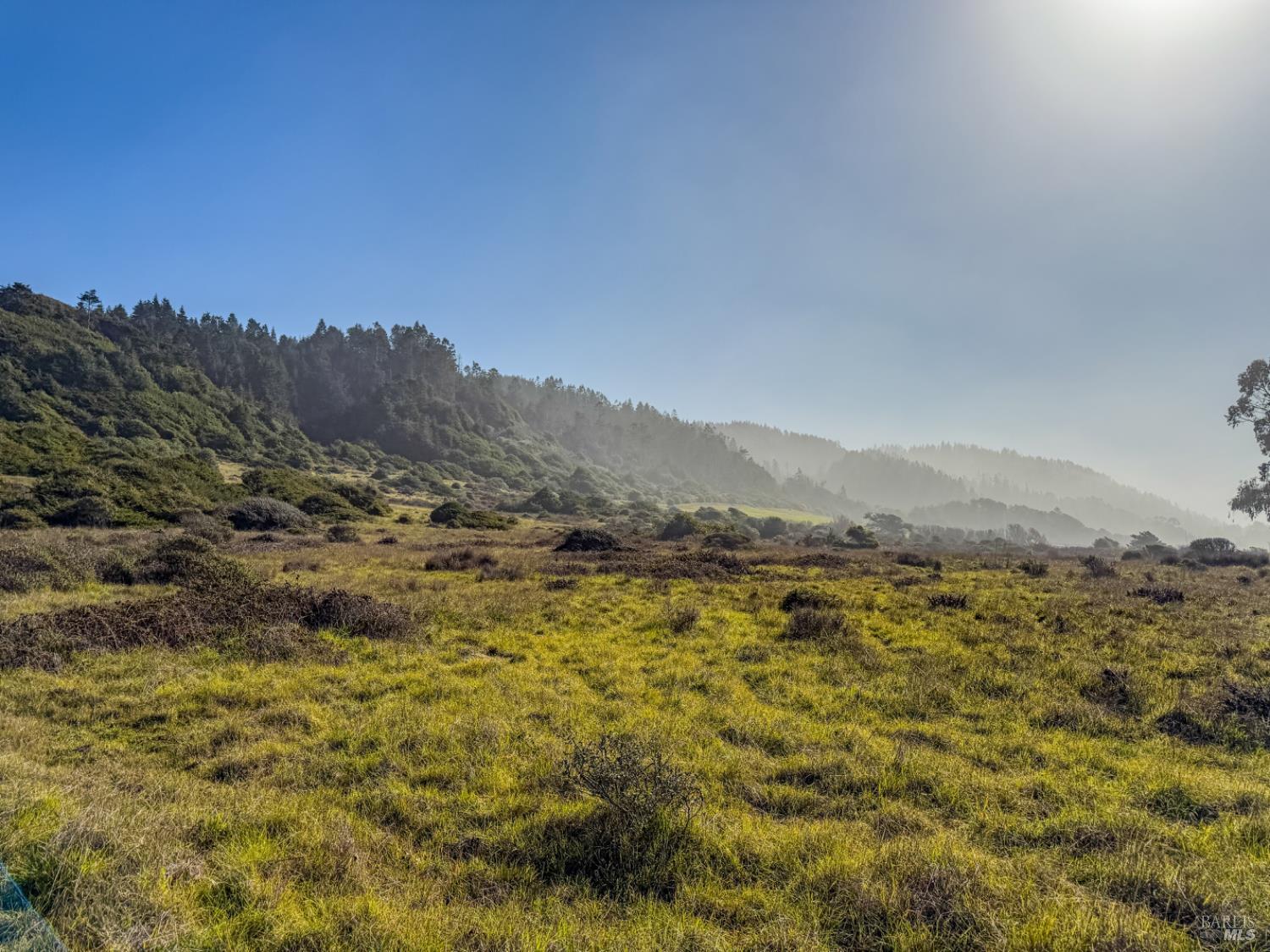 Detail Gallery Image 8 of 14 For 37601 N Highway 1 Hwy, Westport,  CA 95488 - – Beds | – Baths