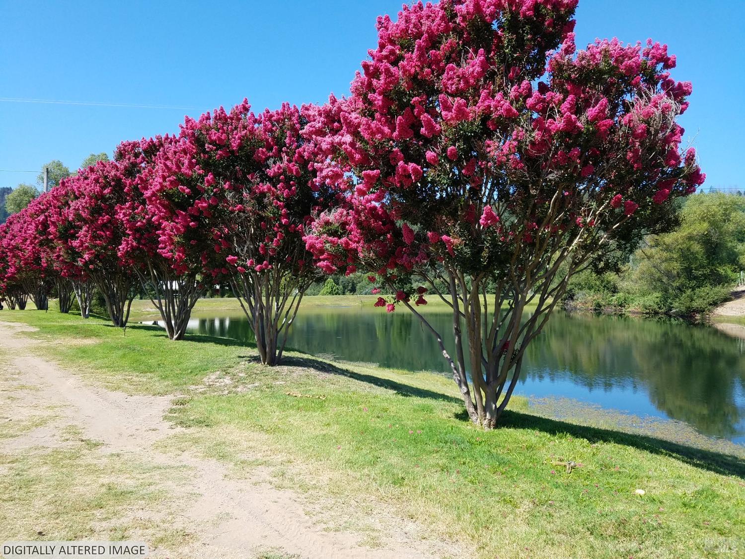 Detail Gallery Image 56 of 78 For 8320 Franz Valley Rd, Calistoga,  CA 94515 - 8 Beds | 8/2 Baths