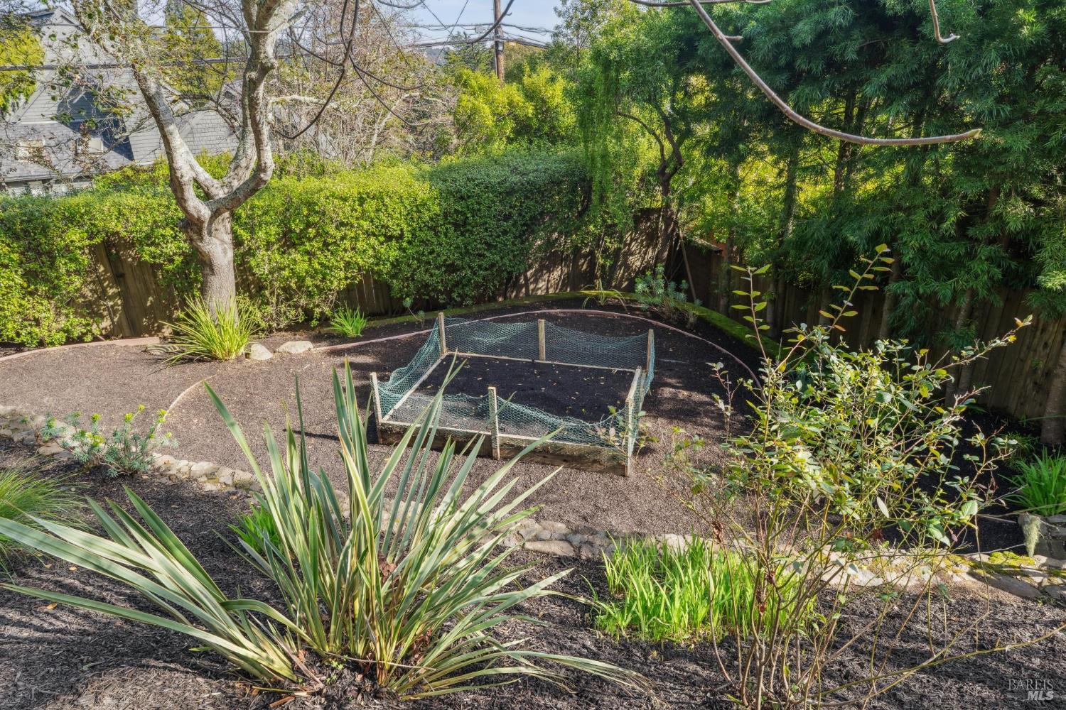 Detail Gallery Image 37 of 41 For 311 Edgewood Ave, Mill Valley,  CA 94941 - 3 Beds | 2 Baths