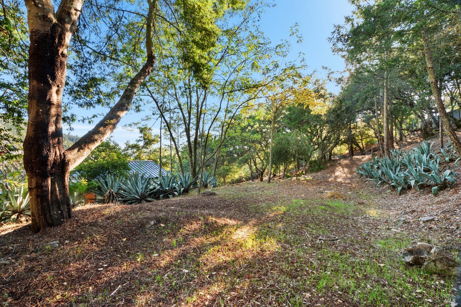 Detail Gallery Image 54 of 65 For 12303 Margie Ln, Glen Ellen,  CA 95442 - 1 Beds | 1/1 Baths