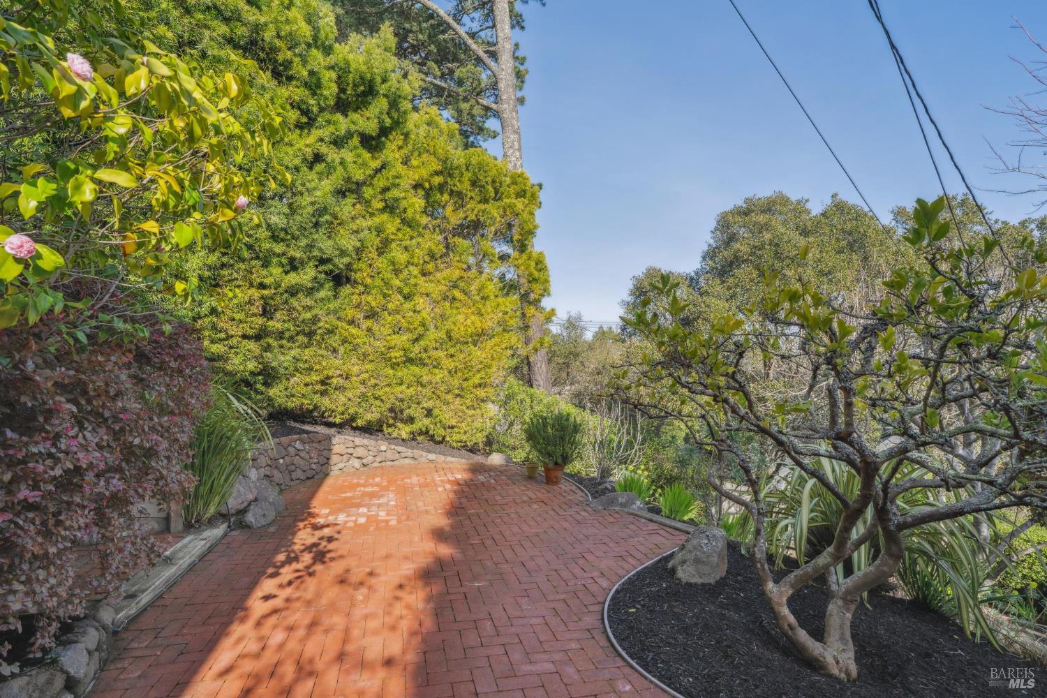 Detail Gallery Image 35 of 41 For 311 Edgewood Ave, Mill Valley,  CA 94941 - 3 Beds | 2 Baths