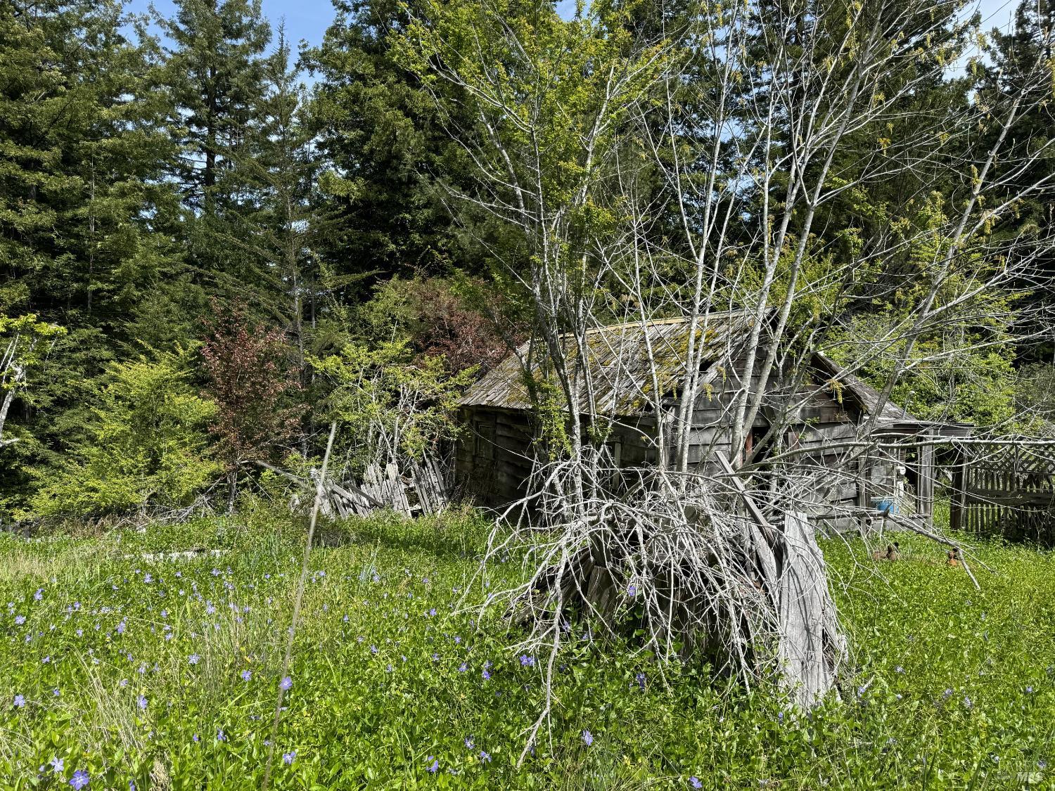 Detail Gallery Image 5 of 12 For 23501 Branscomb Rd, Westport,  CA 95488 - – Beds | – Baths