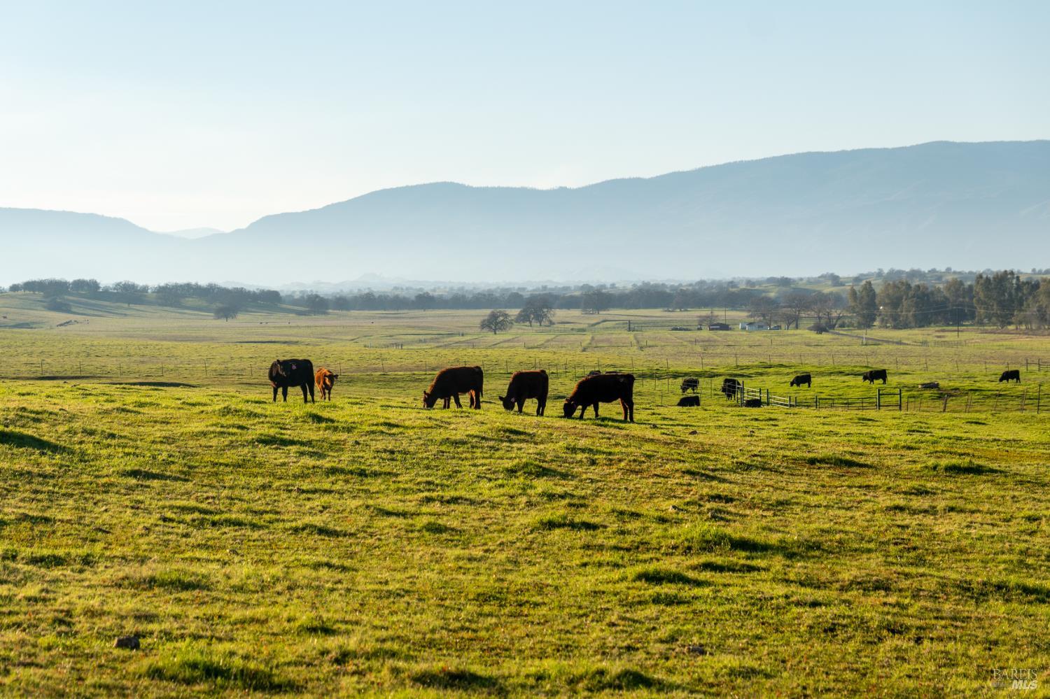 Detail Gallery Image 35 of 37 For 17775 Long Hollow Rd, Corning,  CA 96021 - 2 Beds | 2 Baths
