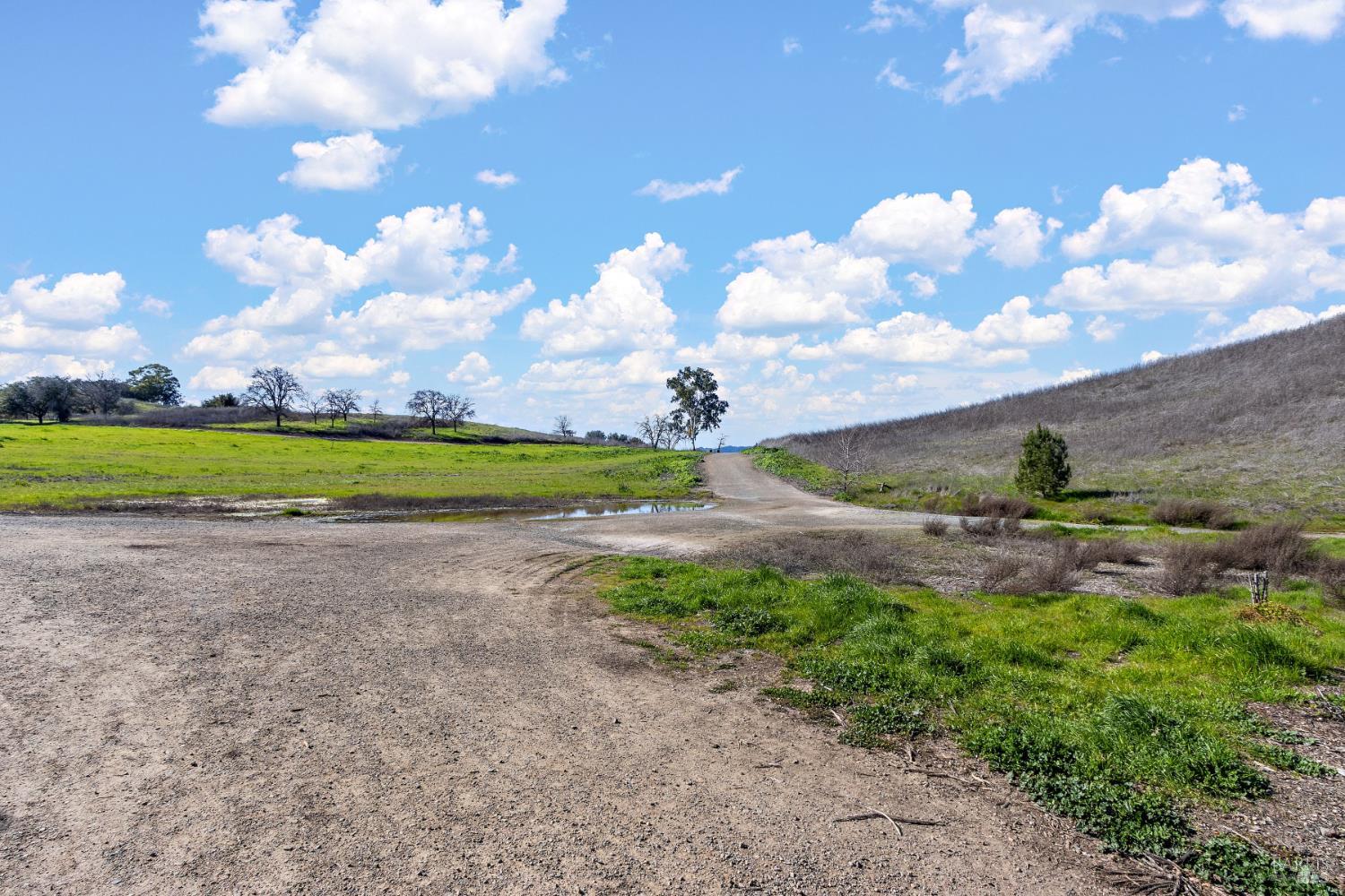 Detail Gallery Image 33 of 34 For 1084 Jamie Dr, Concord,  CA 94518 - 4 Beds | 2/1 Baths
