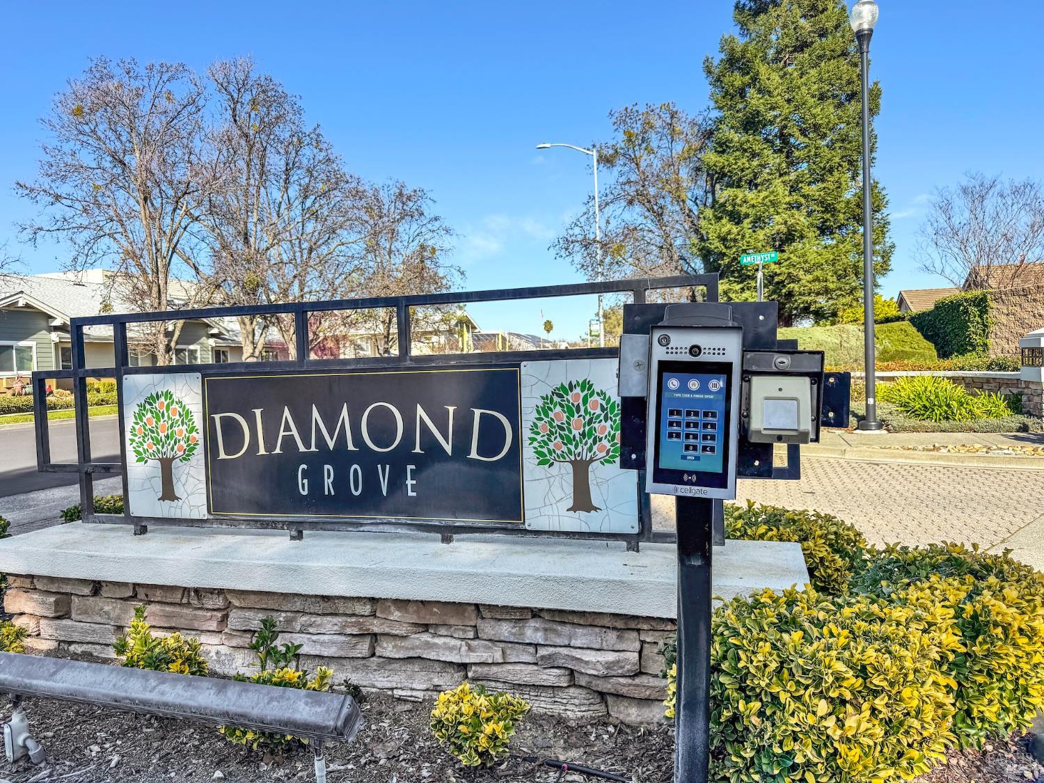 Detail Gallery Image 58 of 62 For 161 Currant Ln, Vacaville,  CA 95687 - 2 Beds | 2 Baths