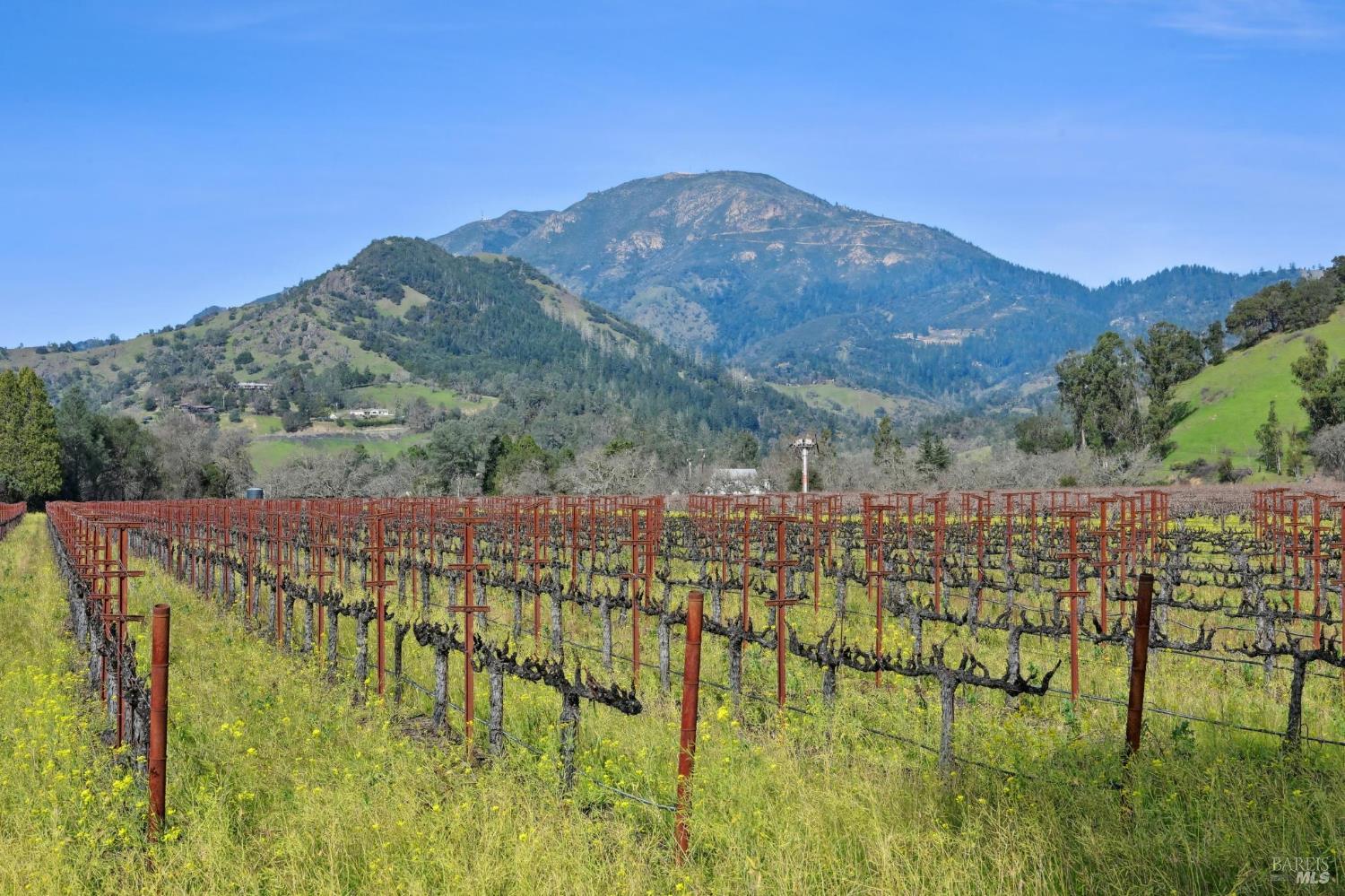 Detail Gallery Image 32 of 39 For 2550 Greenwood Ave, Calistoga,  CA 94515 - 4 Beds | 2/1 Baths