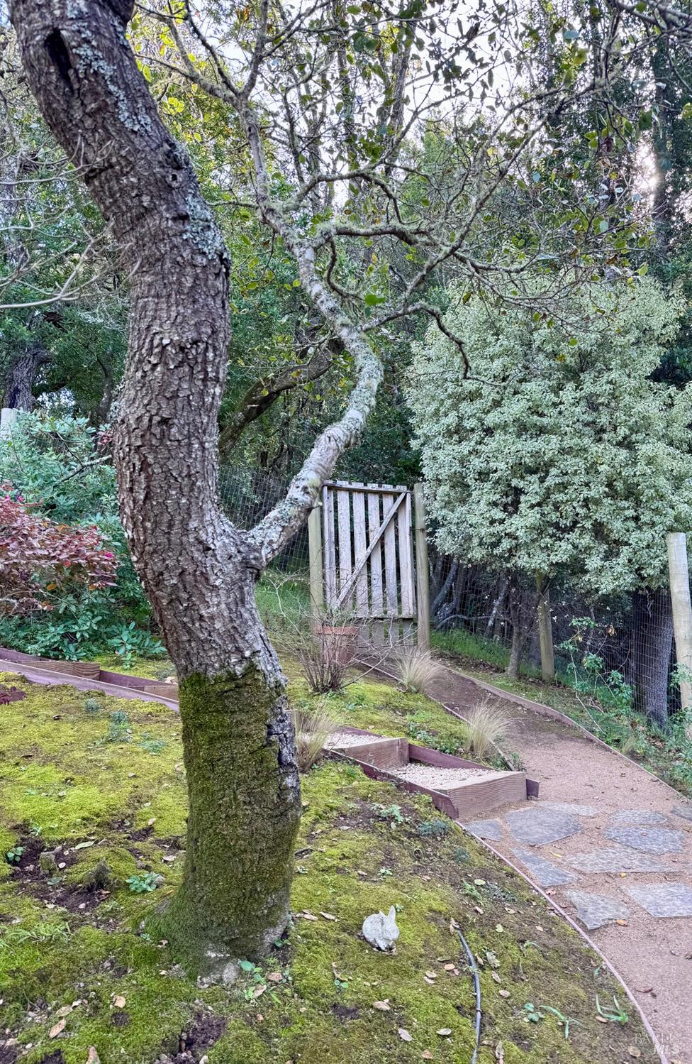 Detail Gallery Image 44 of 46 For 316 Rydal Ave, Mill Valley,  CA 94941 - 4 Beds | 3 Baths