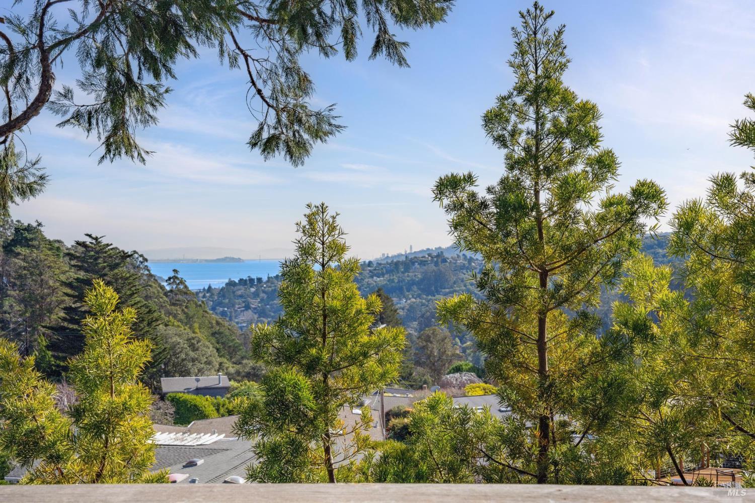 Detail Gallery Image 41 of 41 For 311 Edgewood Ave, Mill Valley,  CA 94941 - 3 Beds | 2 Baths