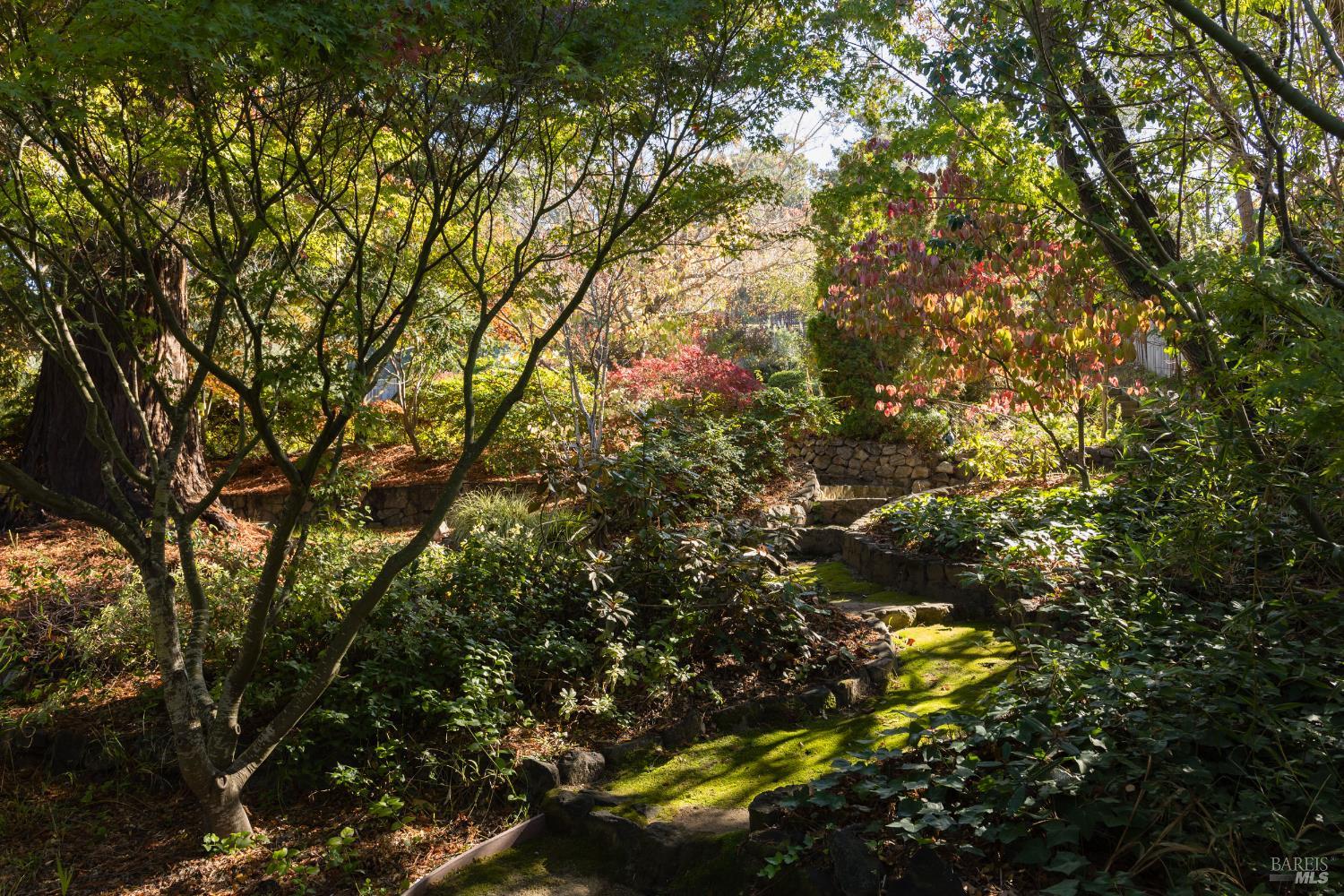 Detail Gallery Image 36 of 43 For 178 Palm Ave, San Rafael,  CA 94901 - 5 Beds | 3/2 Baths