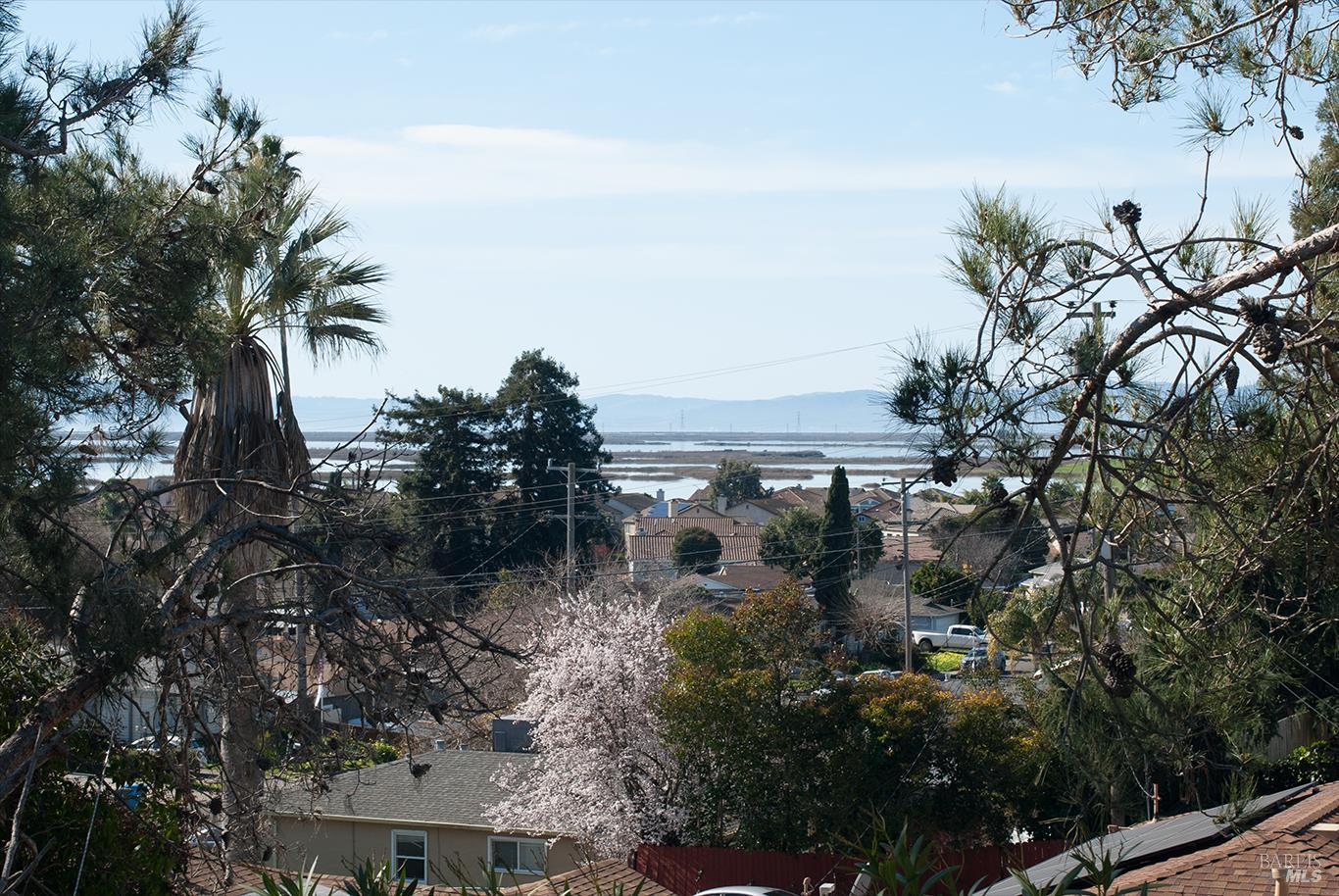 Detail Gallery Image 12 of 14 For 1009 Donaldson Way, American Canyon,  CA 94503 - 3 Beds | 2 Baths