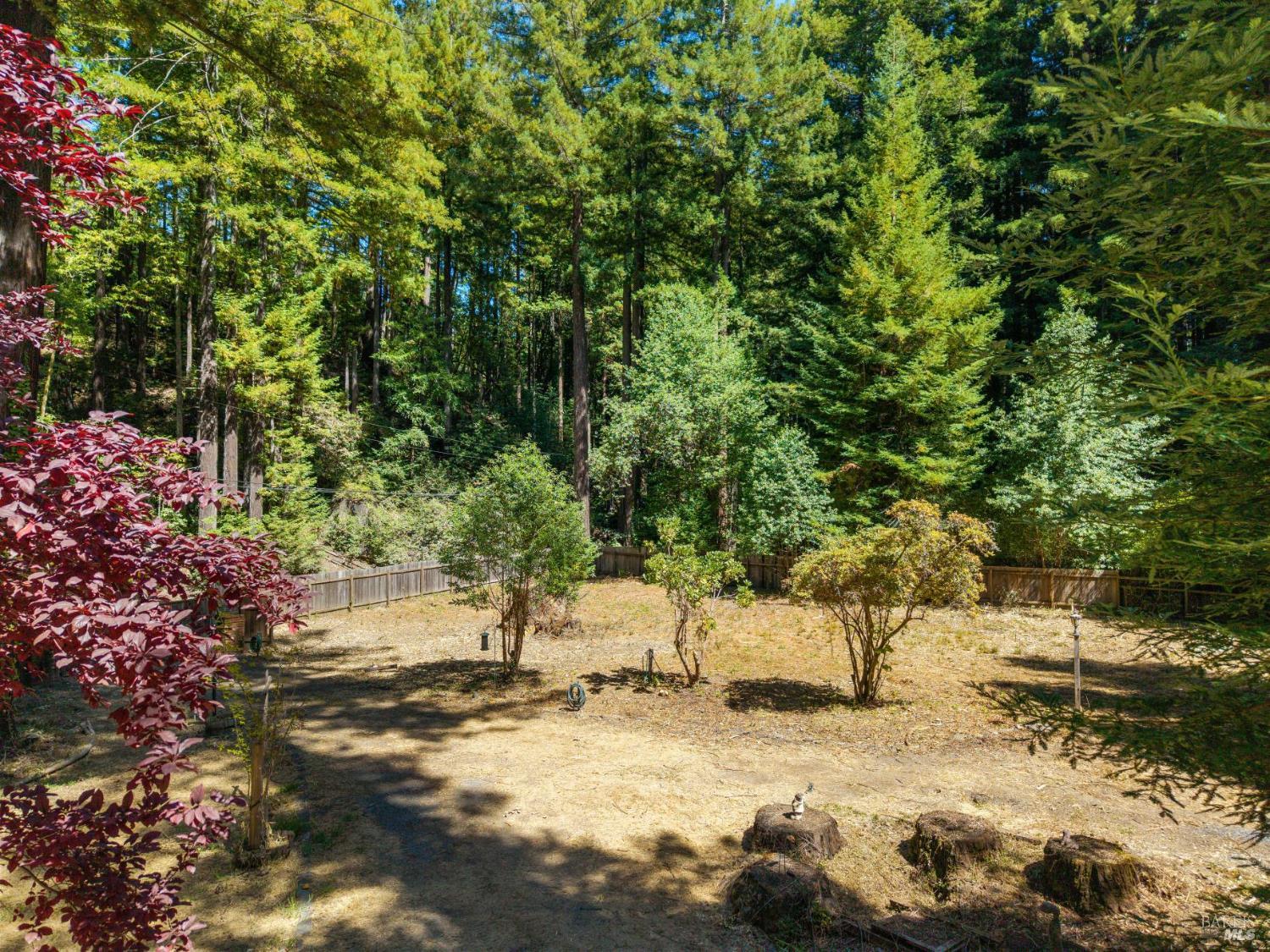 Detail Gallery Image 6 of 59 For 11 Kidd Creek Rd, Cazadero,  CA 95421 - 1 Beds | 1 Baths