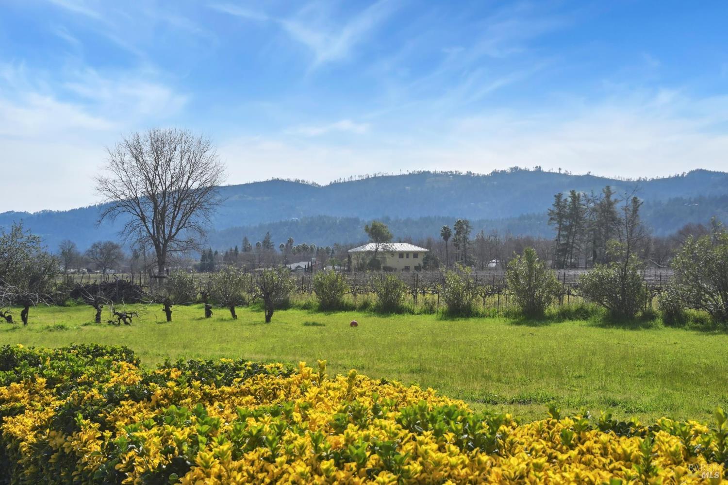 Detail Gallery Image 35 of 39 For 2550 Greenwood Ave, Calistoga,  CA 94515 - 4 Beds | 2/1 Baths