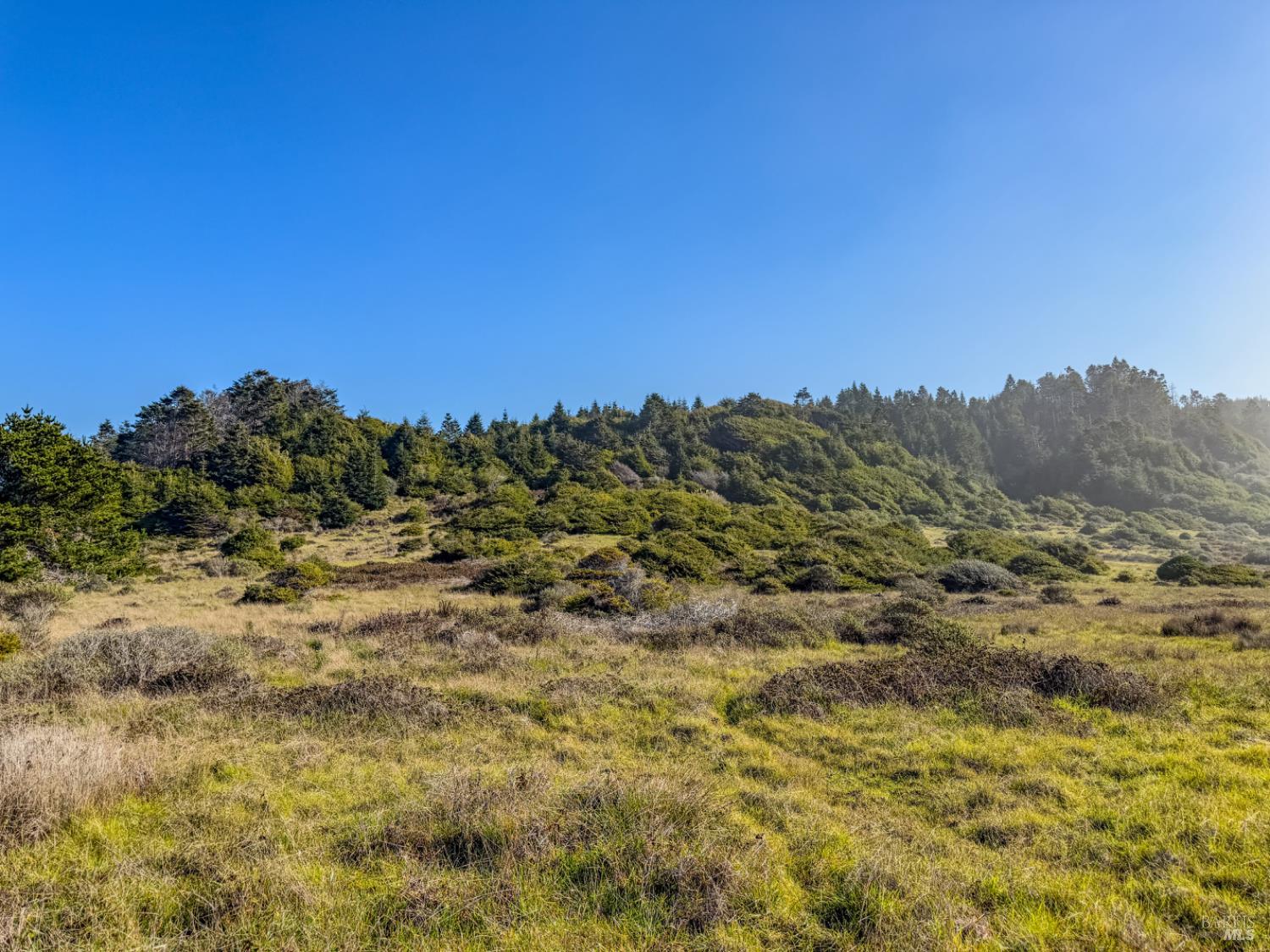 Detail Gallery Image 7 of 14 For 37601 N Highway 1 Hwy, Westport,  CA 95488 - – Beds | – Baths