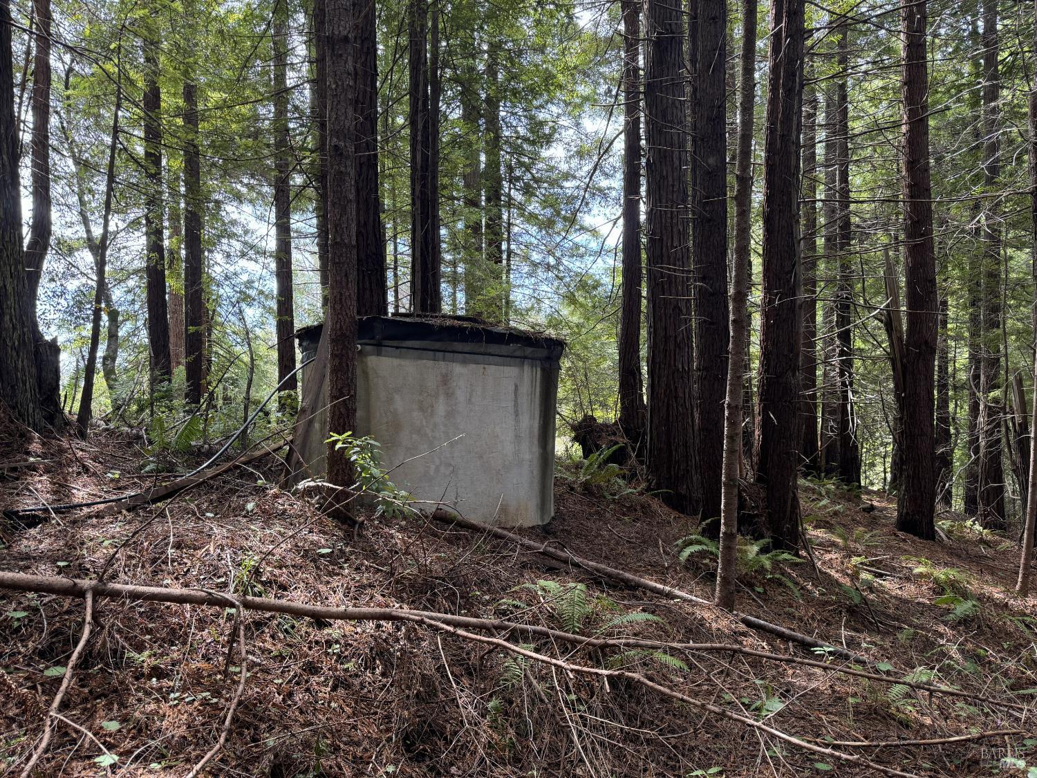 Detail Gallery Image 11 of 12 For 23501 Branscomb Rd, Westport,  CA 95488 - – Beds | – Baths