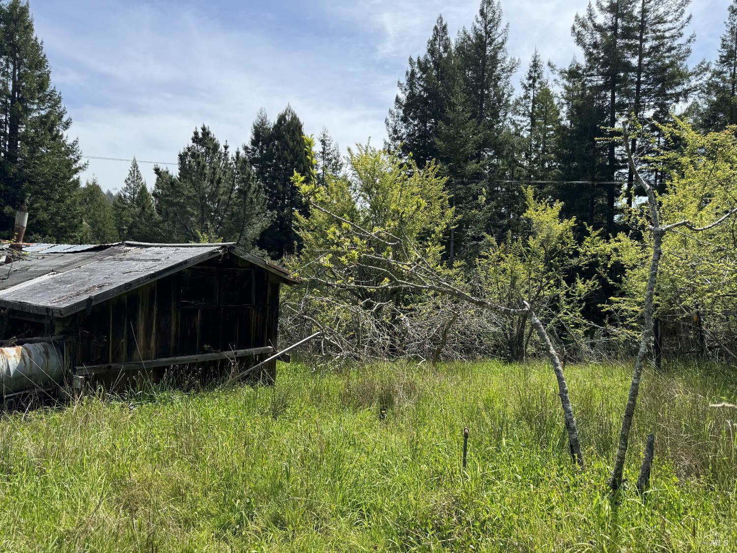 Detail Gallery Image 7 of 12 For 23501 Branscomb Rd, Westport,  CA 95488 - – Beds | – Baths