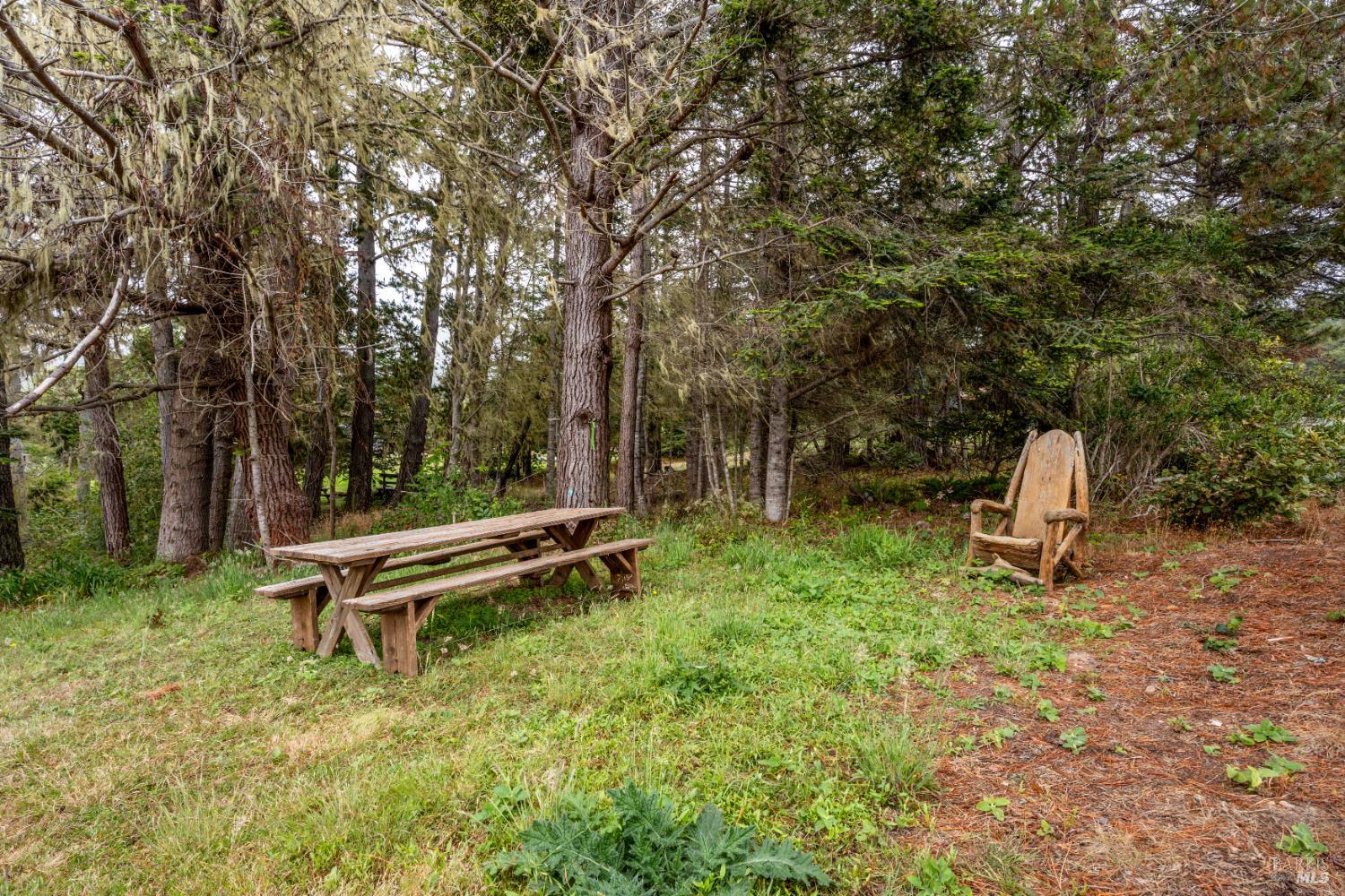 Detail Gallery Image 22 of 28 For 15741 Forest View Rd, Manchester,  CA 95459 - 3 Beds | 2 Baths