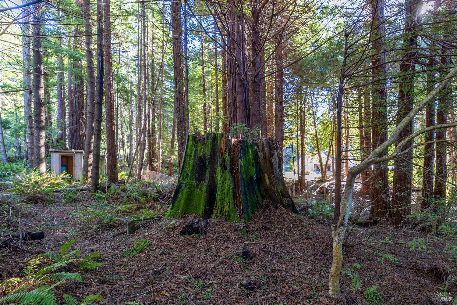 Detail Gallery Image 6 of 15 For 44720 Jack Peters Creek Rd, Mendocino,  CA 95460 - 3 Beds | 2 Baths