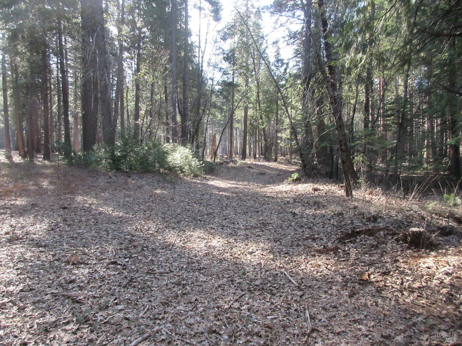 Detail Gallery Image 11 of 20 For 3 Acres Woodridge Dr, Shingletown,  CA 96088 - – Beds | – Baths