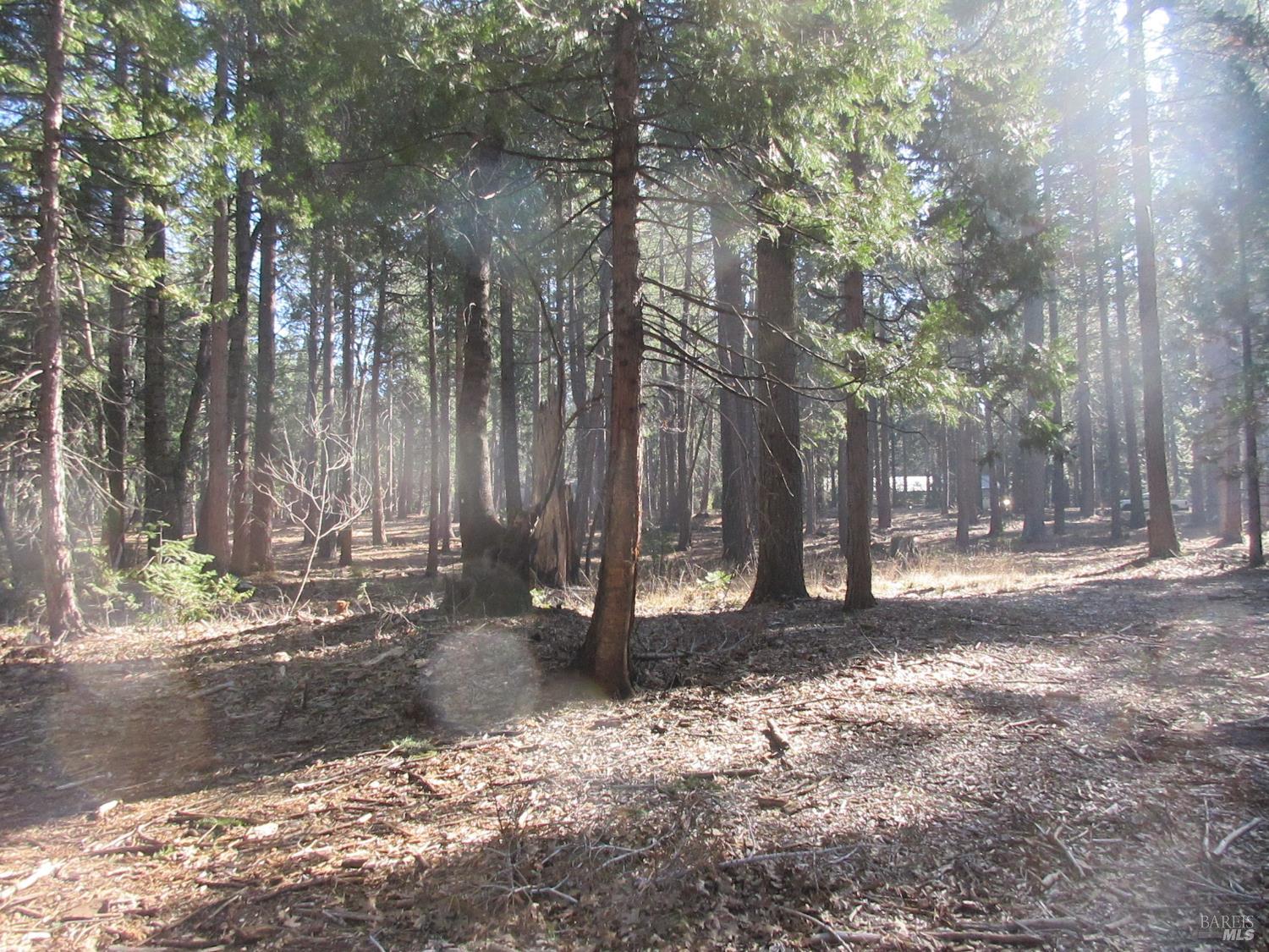 Detail Gallery Image 8 of 20 For 3 Acres Woodridge Dr, Shingletown,  CA 96088 - – Beds | – Baths