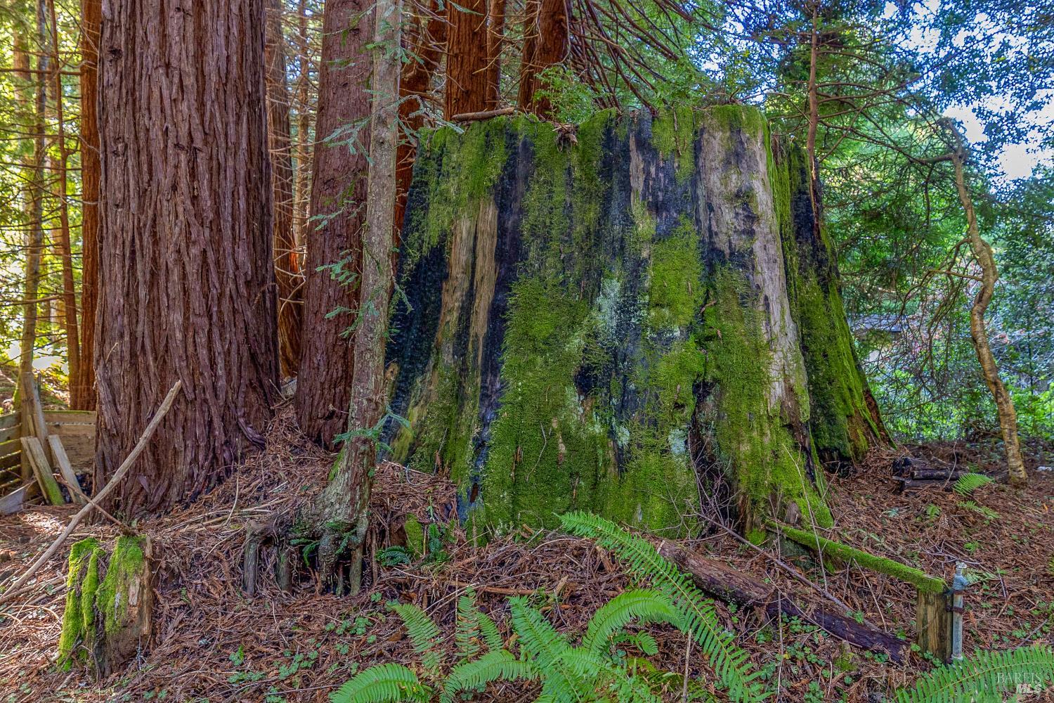 Detail Gallery Image 5 of 15 For 44720 Jack Peters Creek Rd, Mendocino,  CA 95460 - 3 Beds | 2 Baths