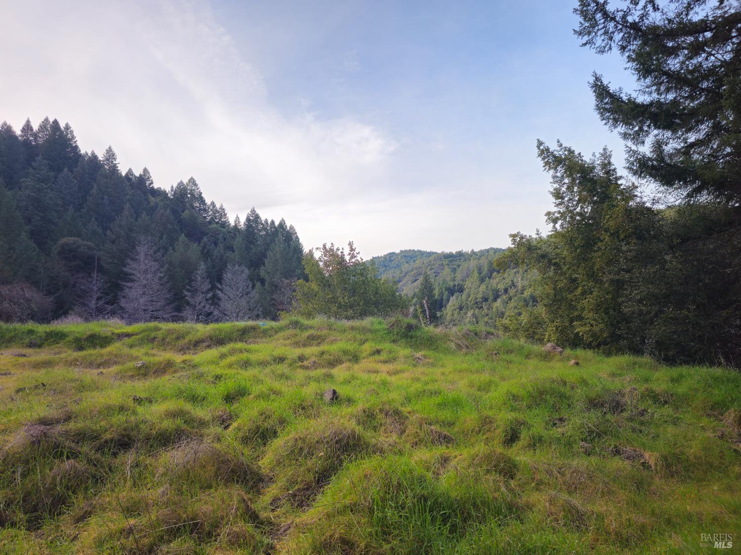 Detail Gallery Image 2 of 5 For 0 Wildwood Drive Dr, Leggett,  CA 95585 - – Beds | – Baths