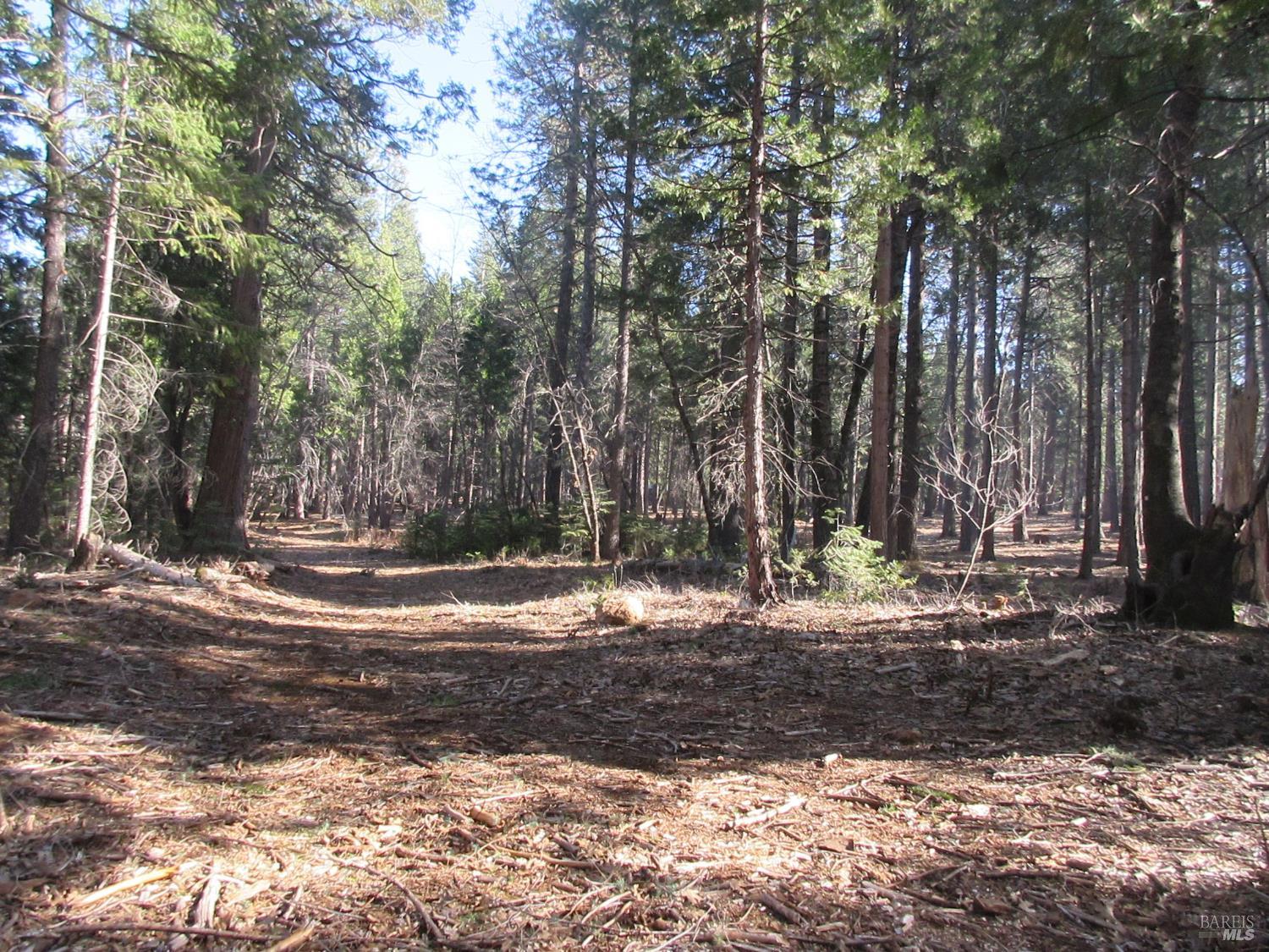 Detail Gallery Image 7 of 20 For 3 Acres Woodridge Dr, Shingletown,  CA 96088 - – Beds | – Baths